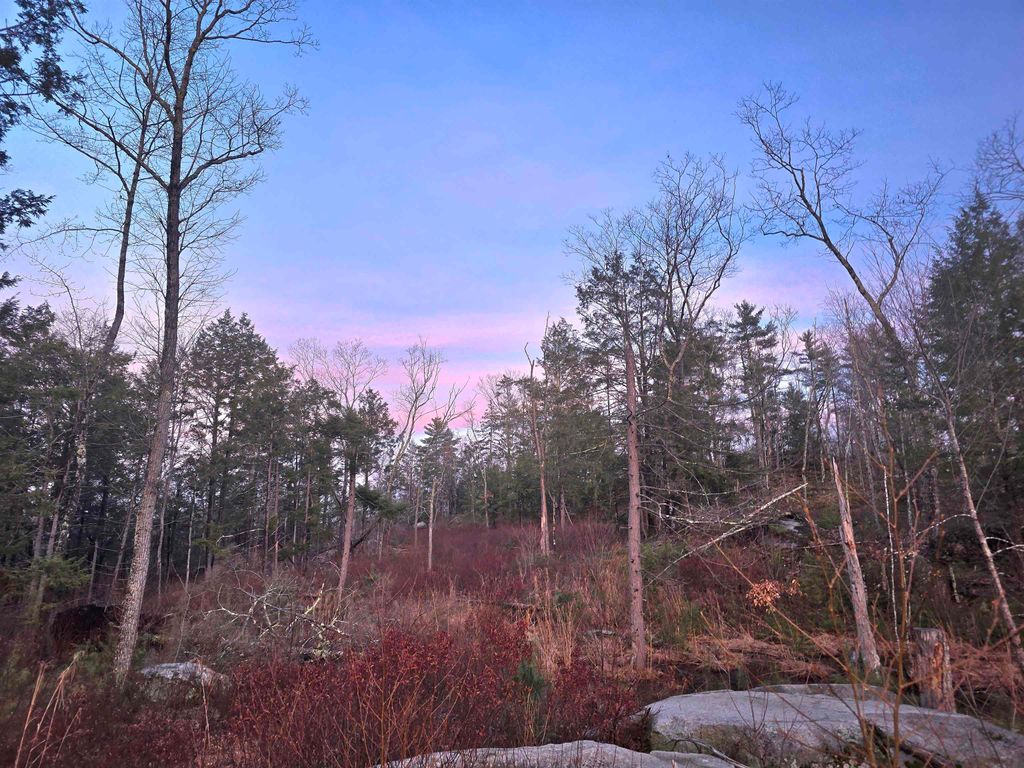 Photo of 104 Berry River Road #3 lots, Barrington, NH 03825 (MLS # 5088102)