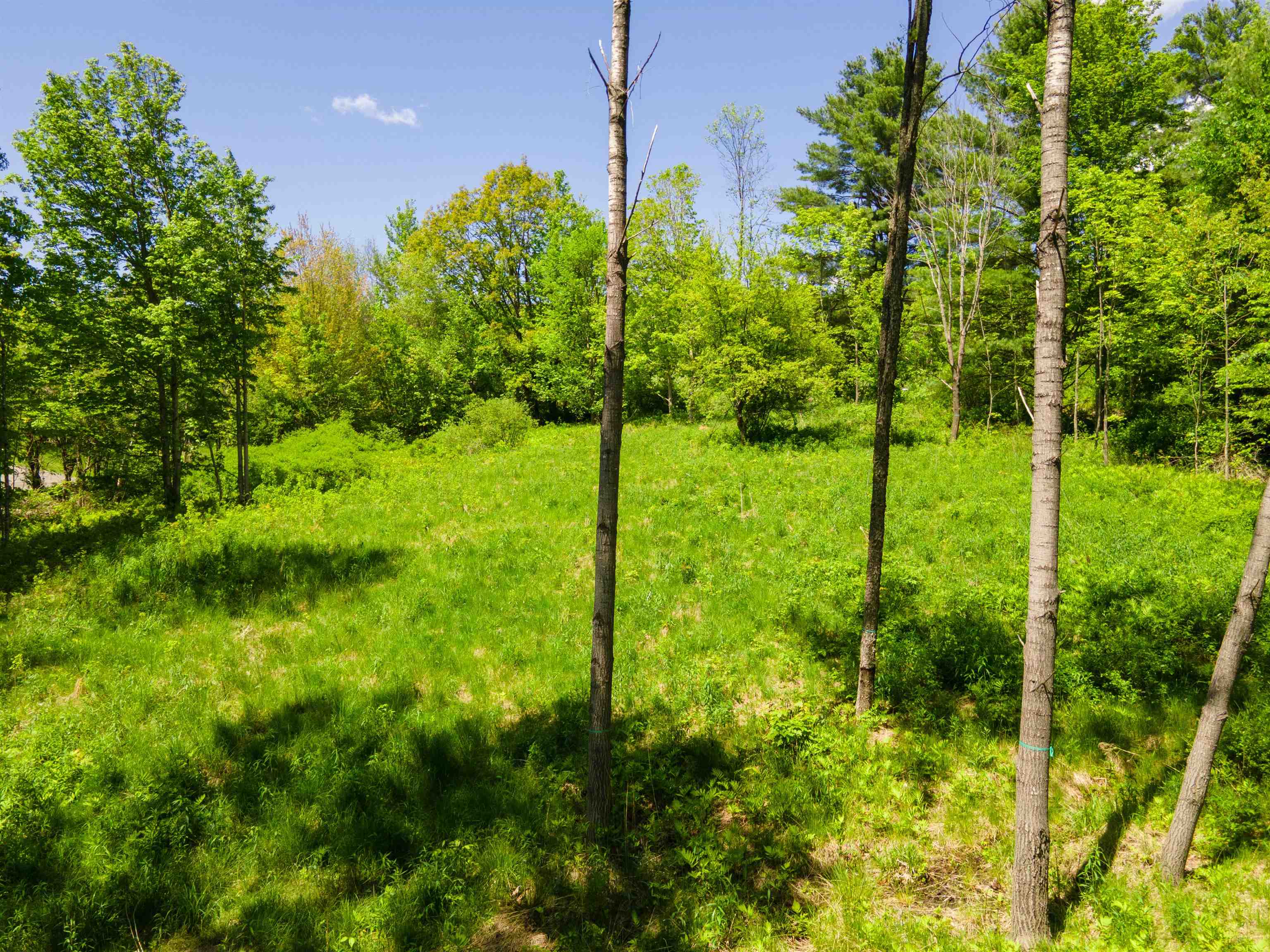 381 E Green Mountain Road
