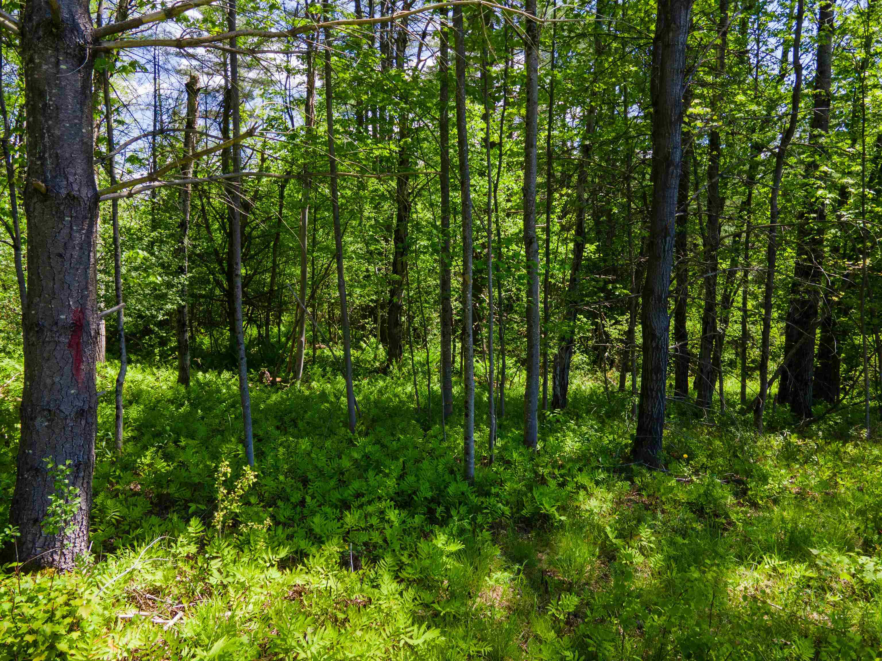 381 E Green Mountain Road
