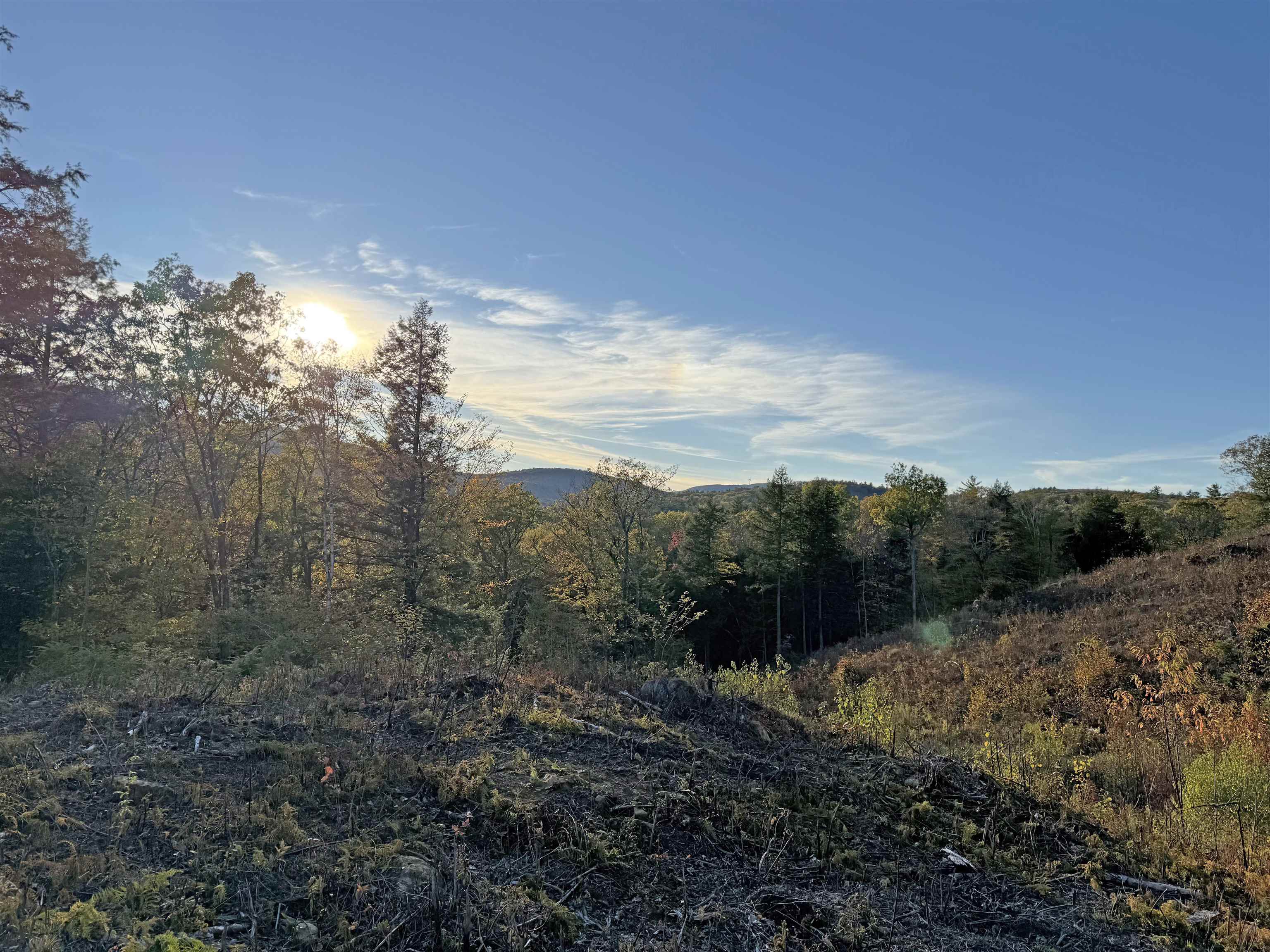 M 230 L 21&22 Thurlow Street