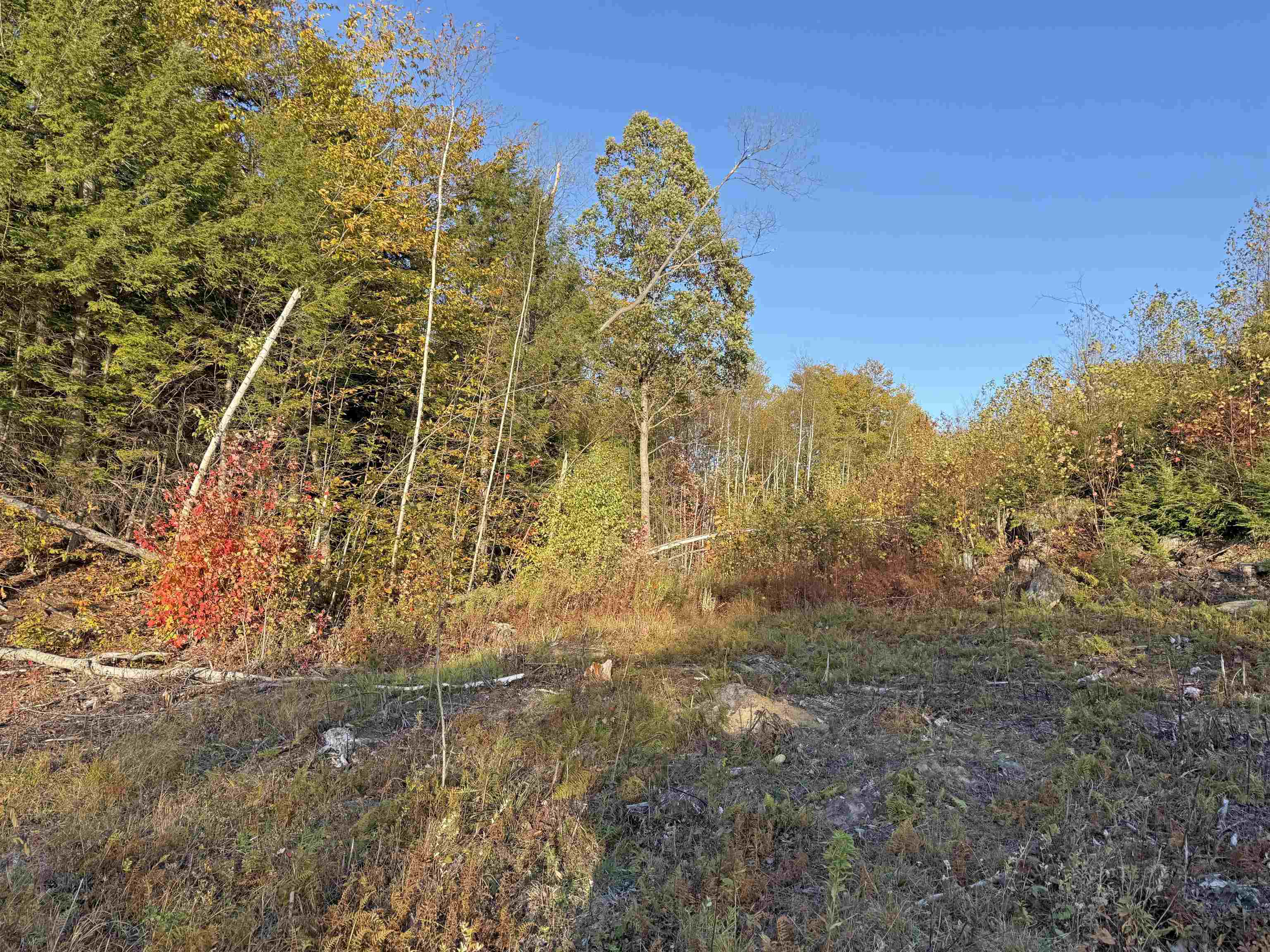 M 230 L 21&22 Thurlow Street