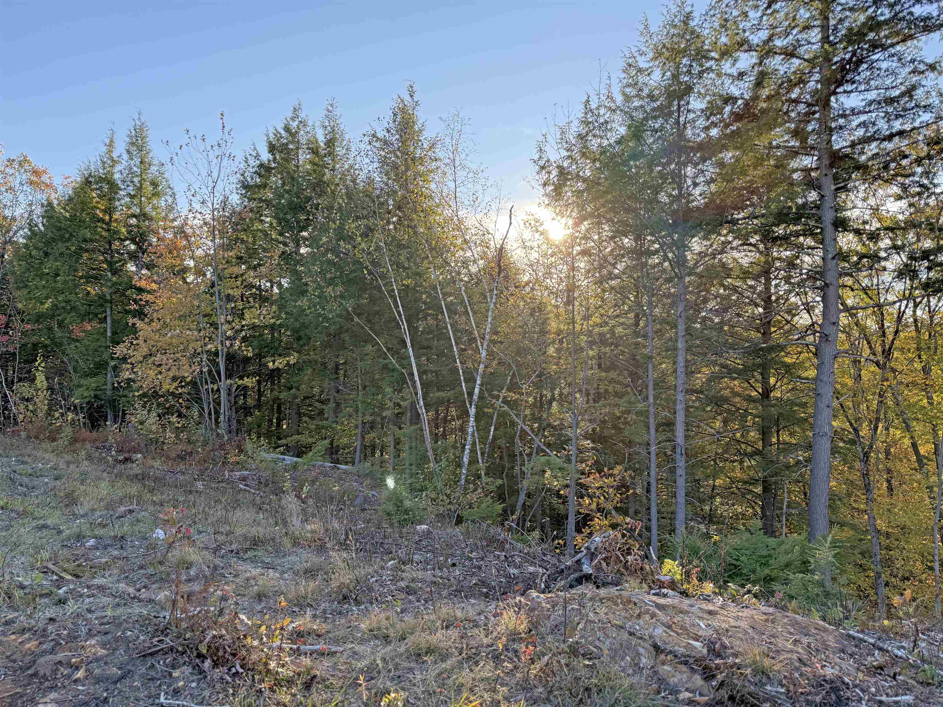 M 230 L 21&22 Thurlow Street