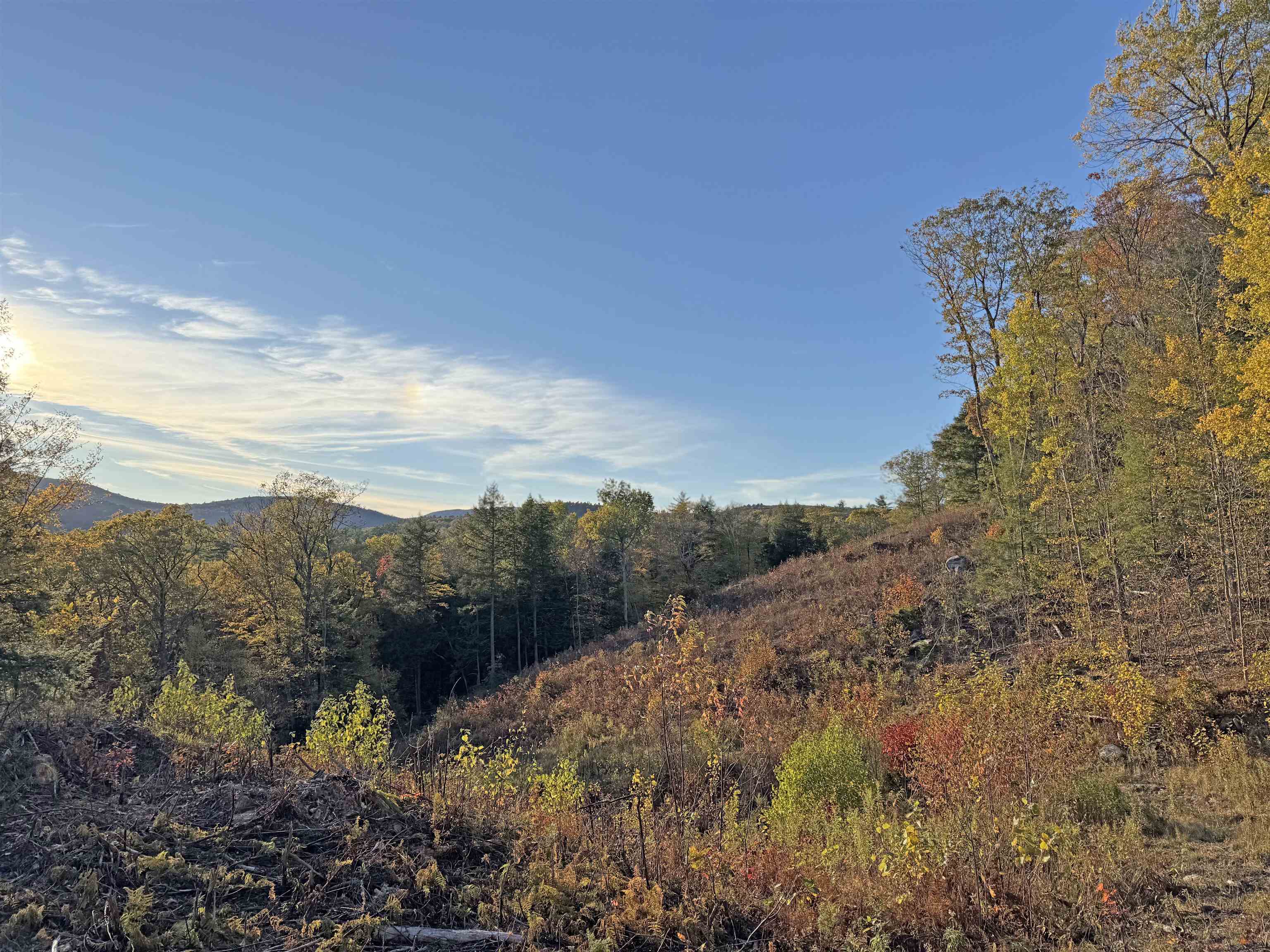 M 230 L 21&22 Thurlow Street