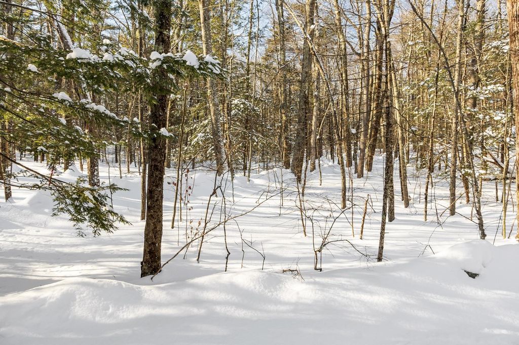 Photo of 2 Kendall Hill Road #5-56-2, Mont Vernon, NH 03057 (MLS # 5075356)