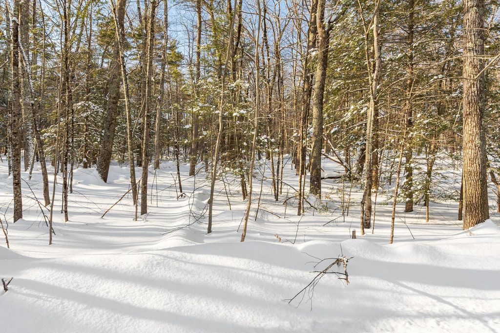 Photo of 2 Kendall Hill Road #5-56-2, Mont Vernon, NH 03057 (MLS # 5075356)