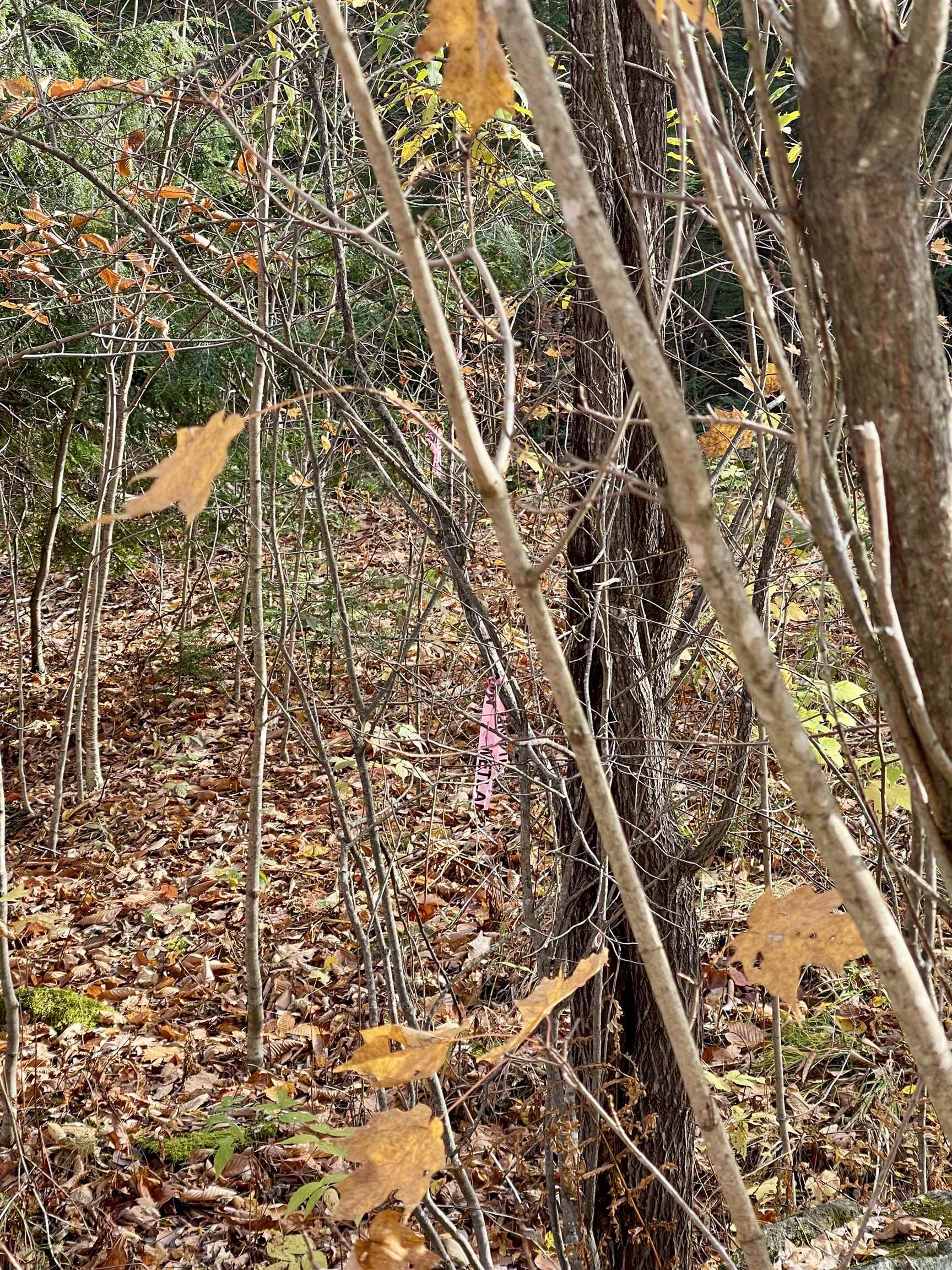 0 Foothills Drive Lot 20-R