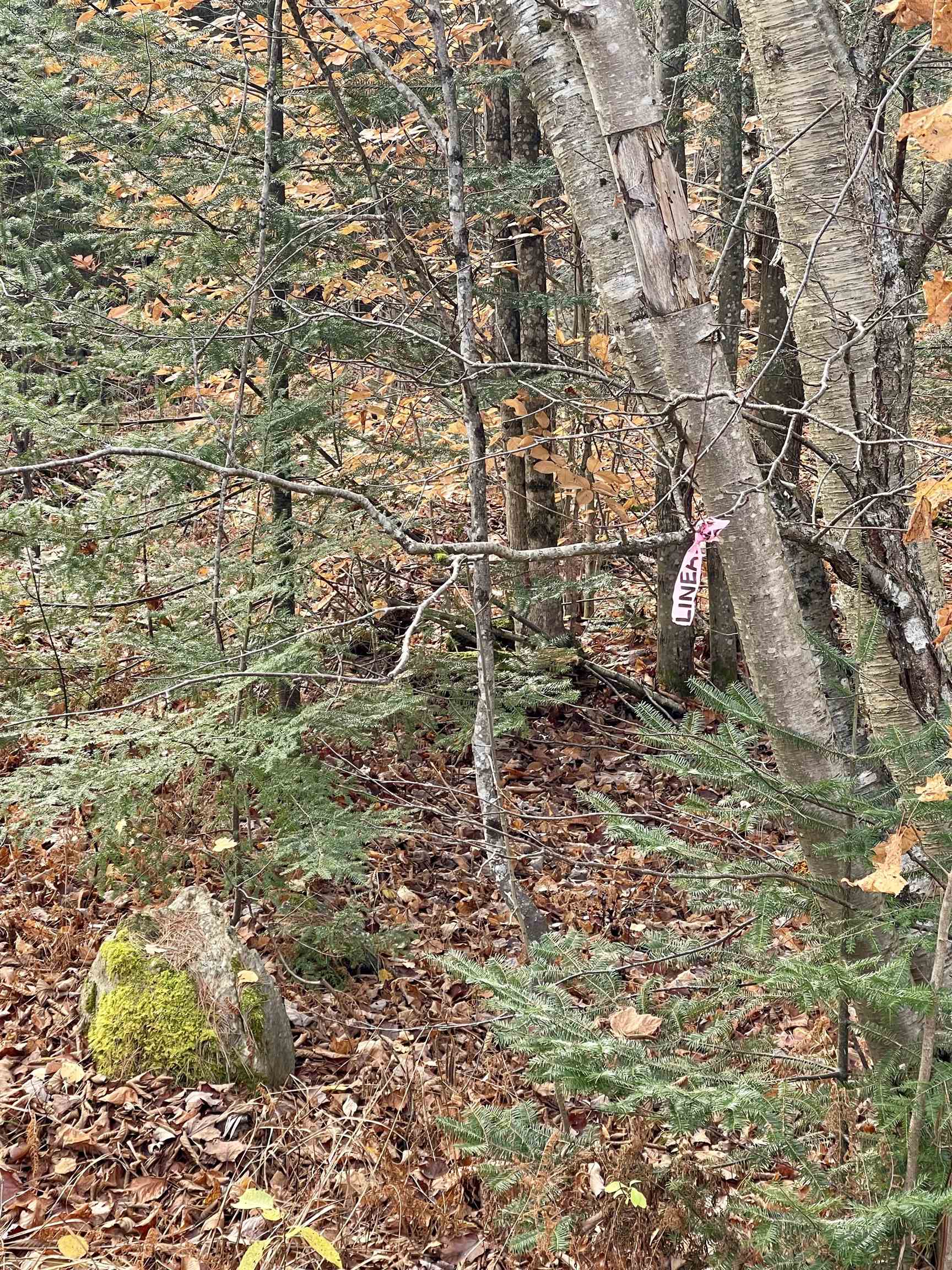 0 Foothills Drive Lot 20-R