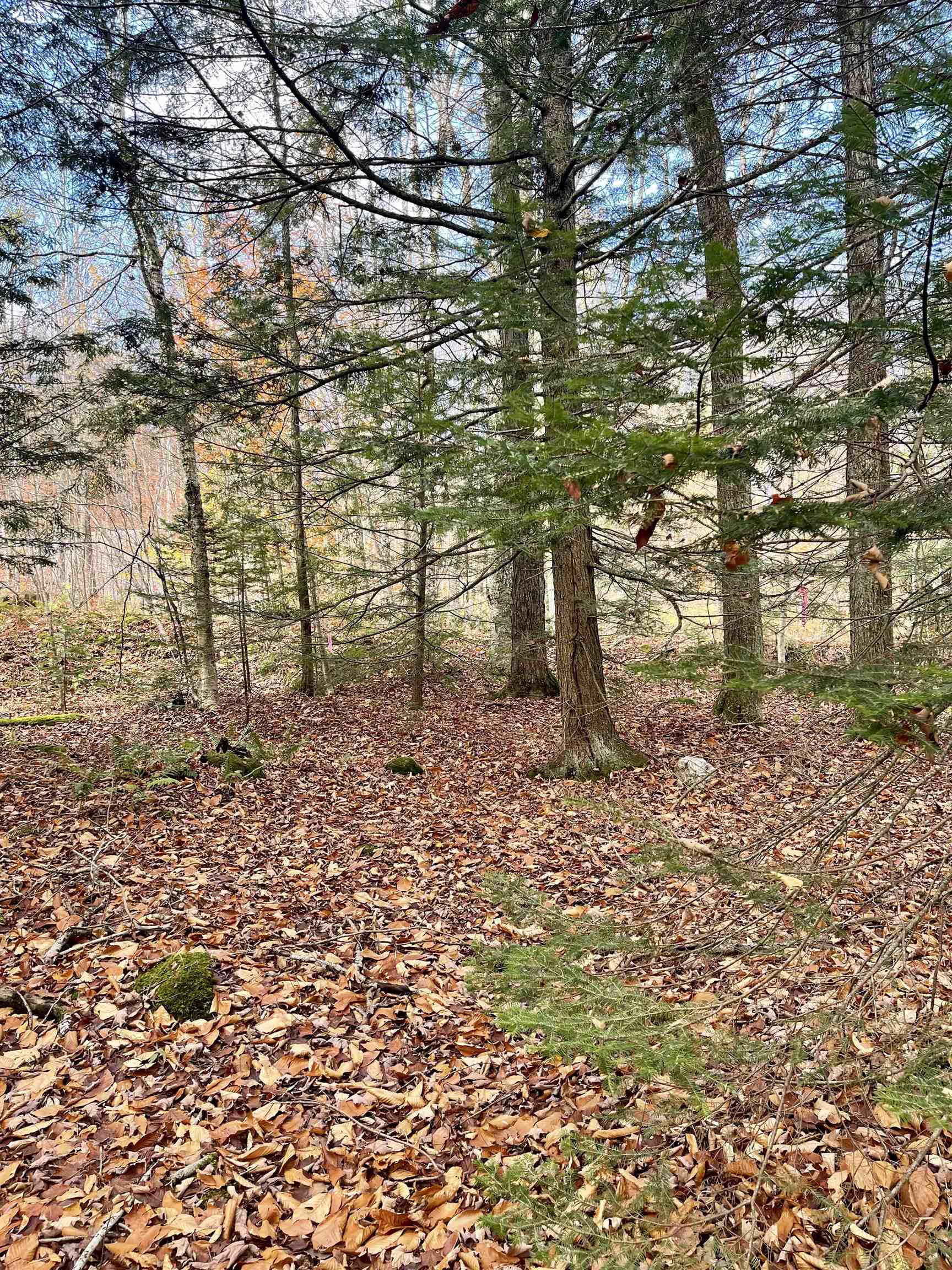 0 Foothills Drive Lot 20-R