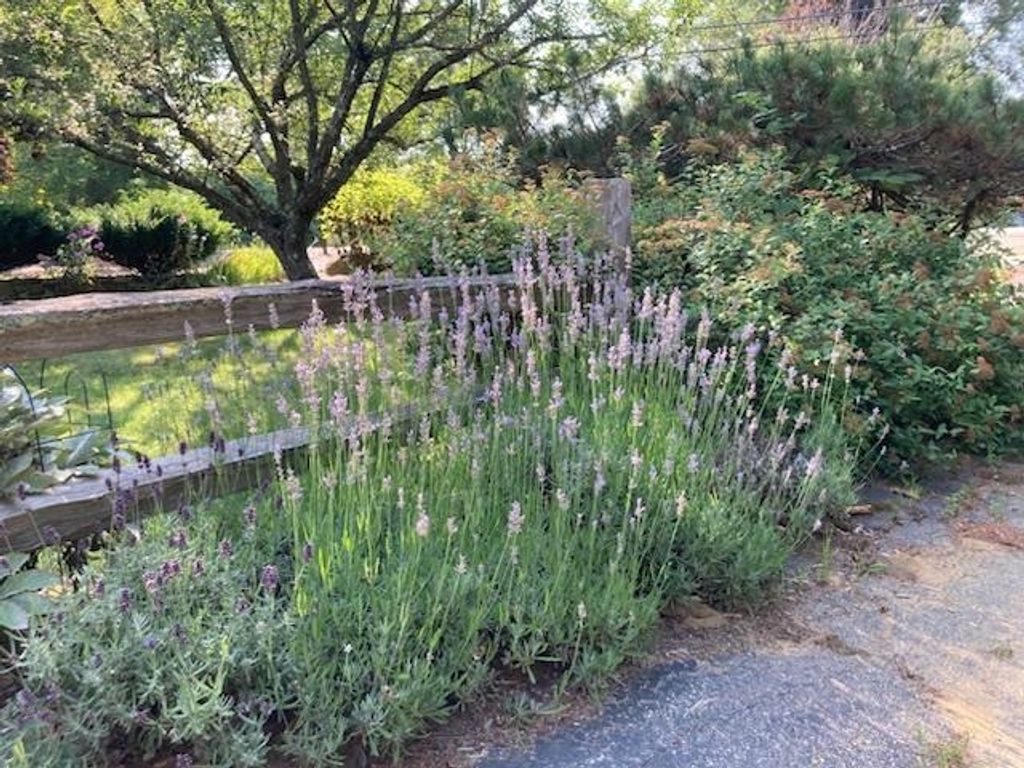 Photo of 189 Leavitt Road, Belmont, NH 03220 (MLS # 5082573)