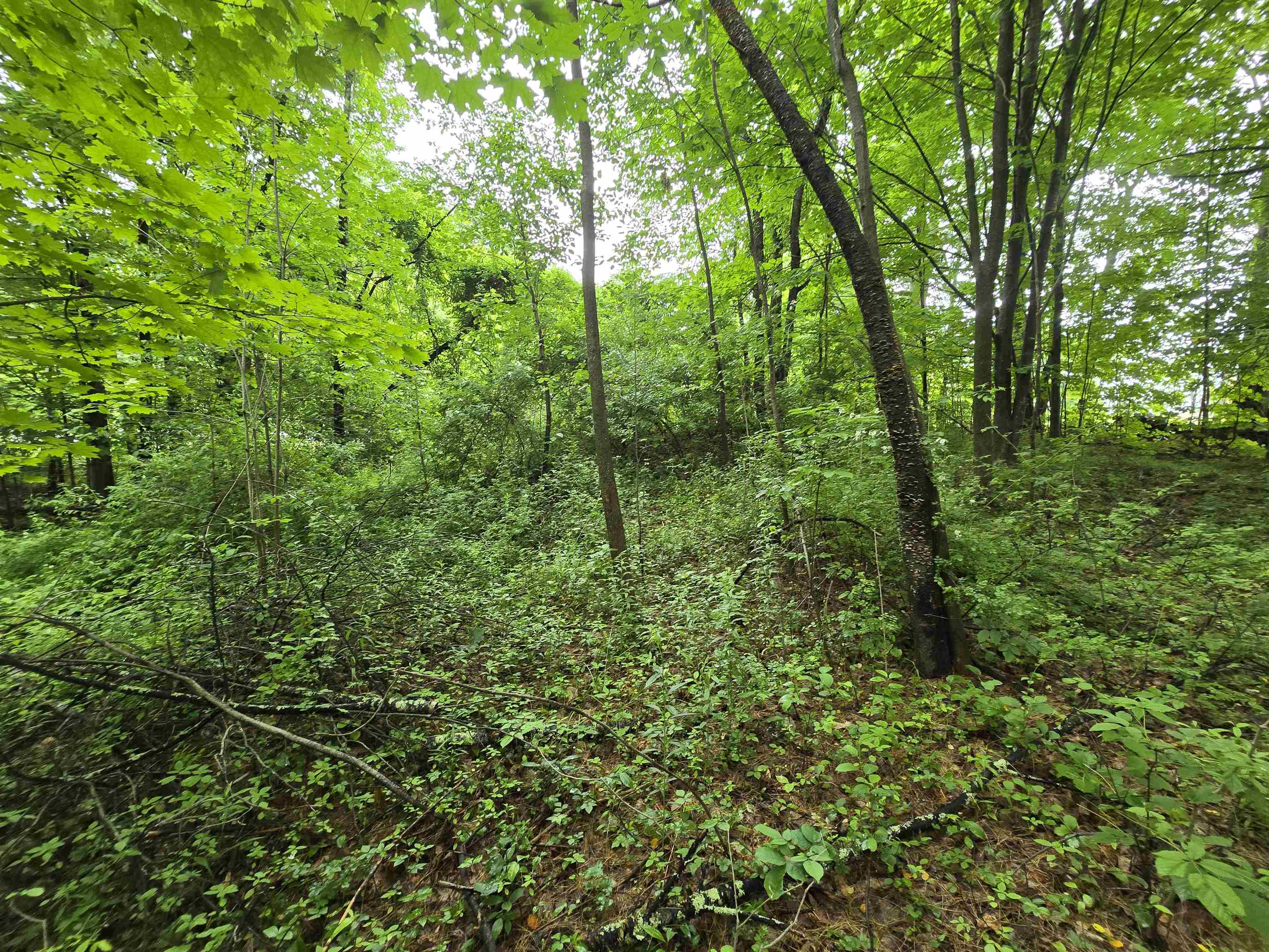 Rochester, New Hampshire 03839, United States, ,Land,Active,165311