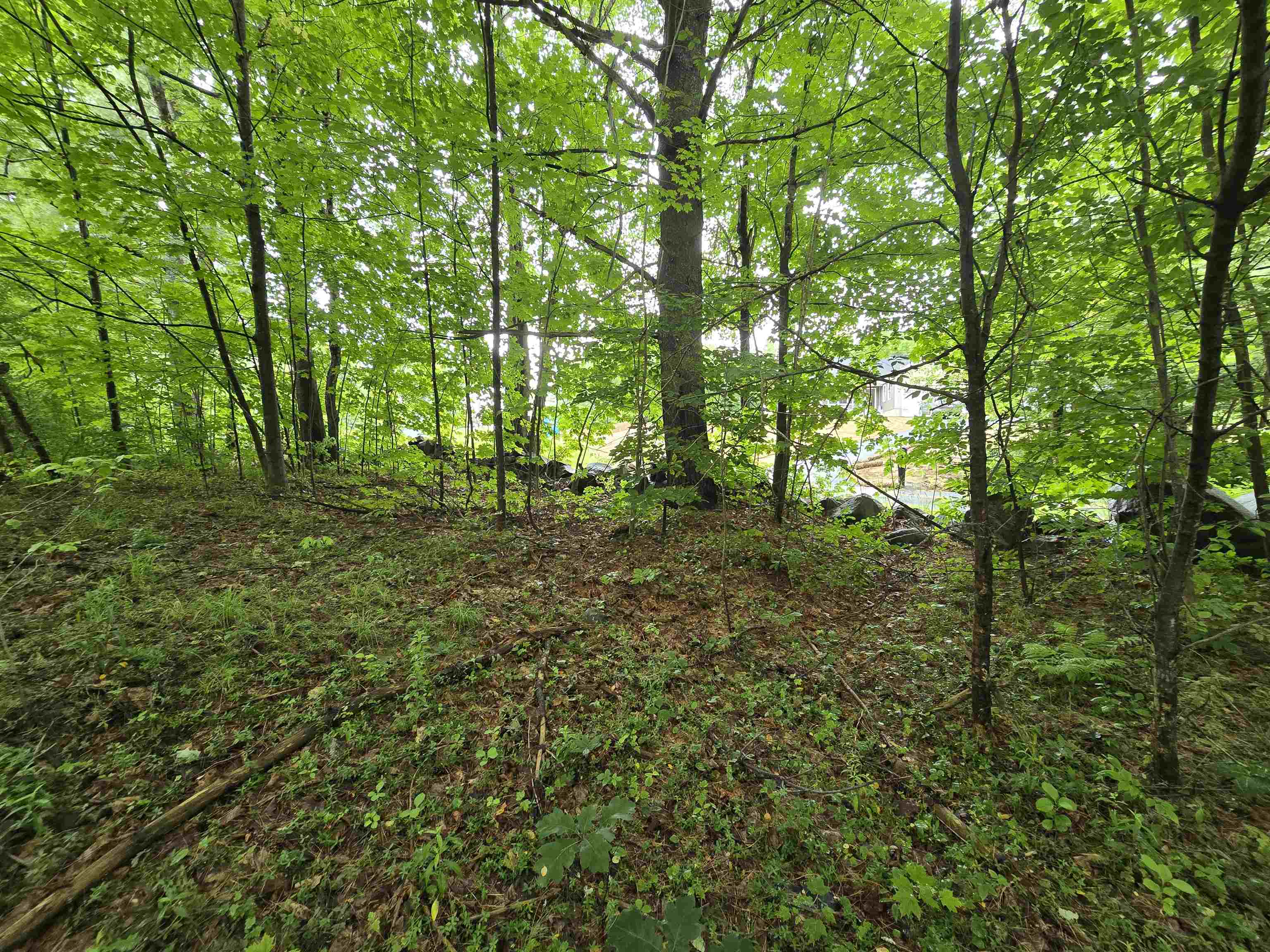 Rochester, New Hampshire 03839, United States, ,Land,Active,165311