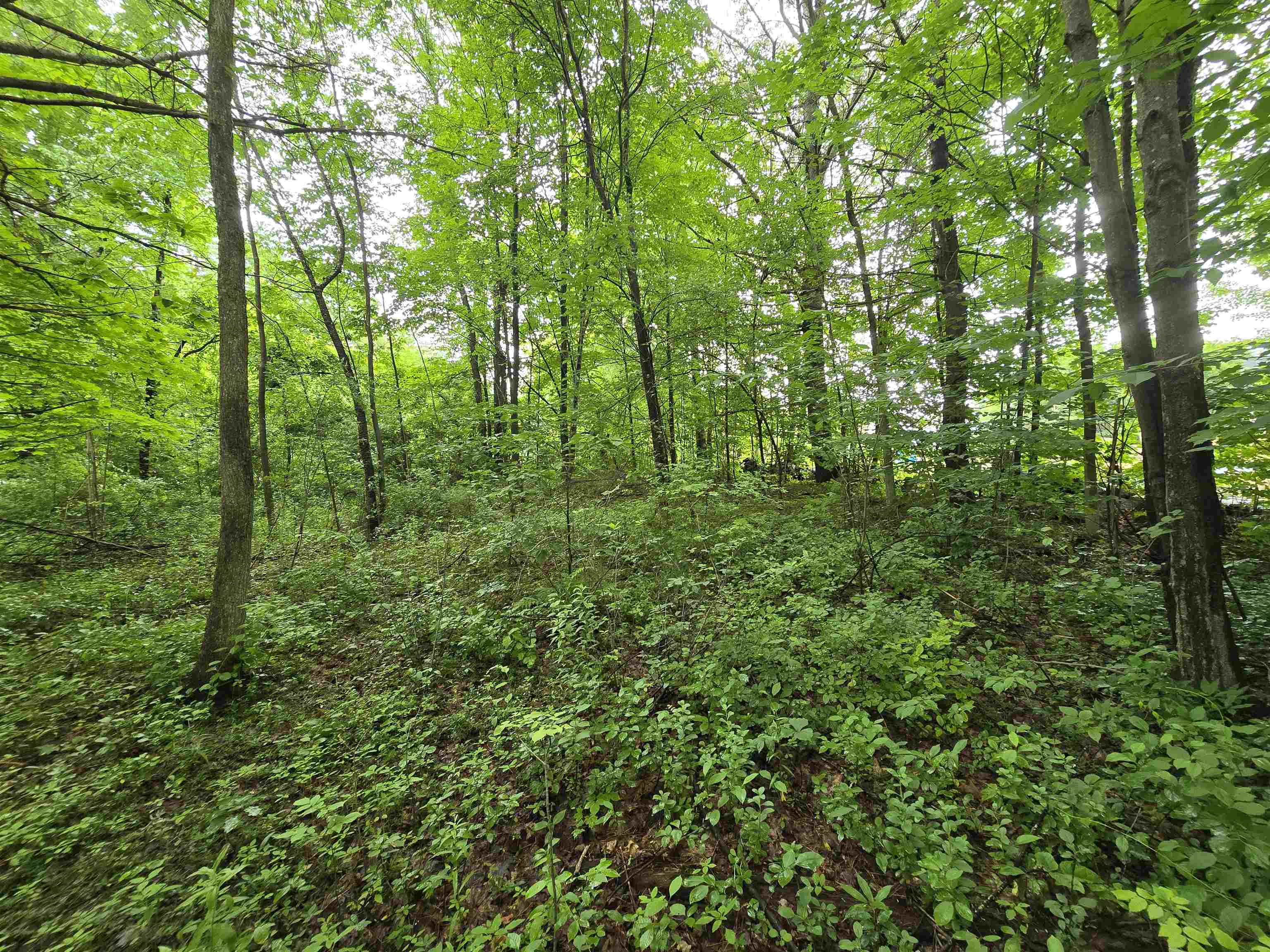 Rochester, New Hampshire 03839, United States, ,Land,Active,165311