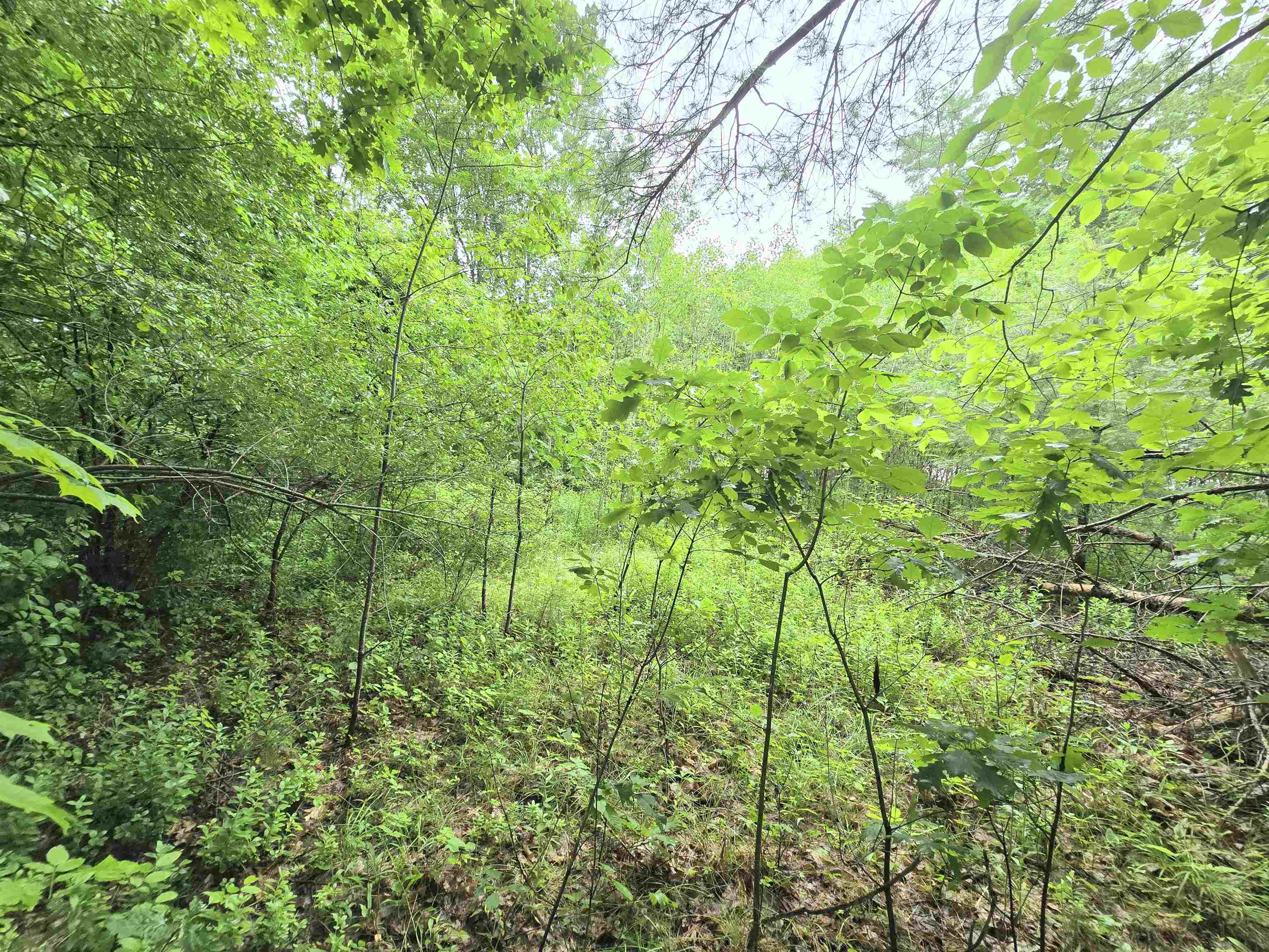 Rochester, New Hampshire 03839, United States, ,Land,Active,165311