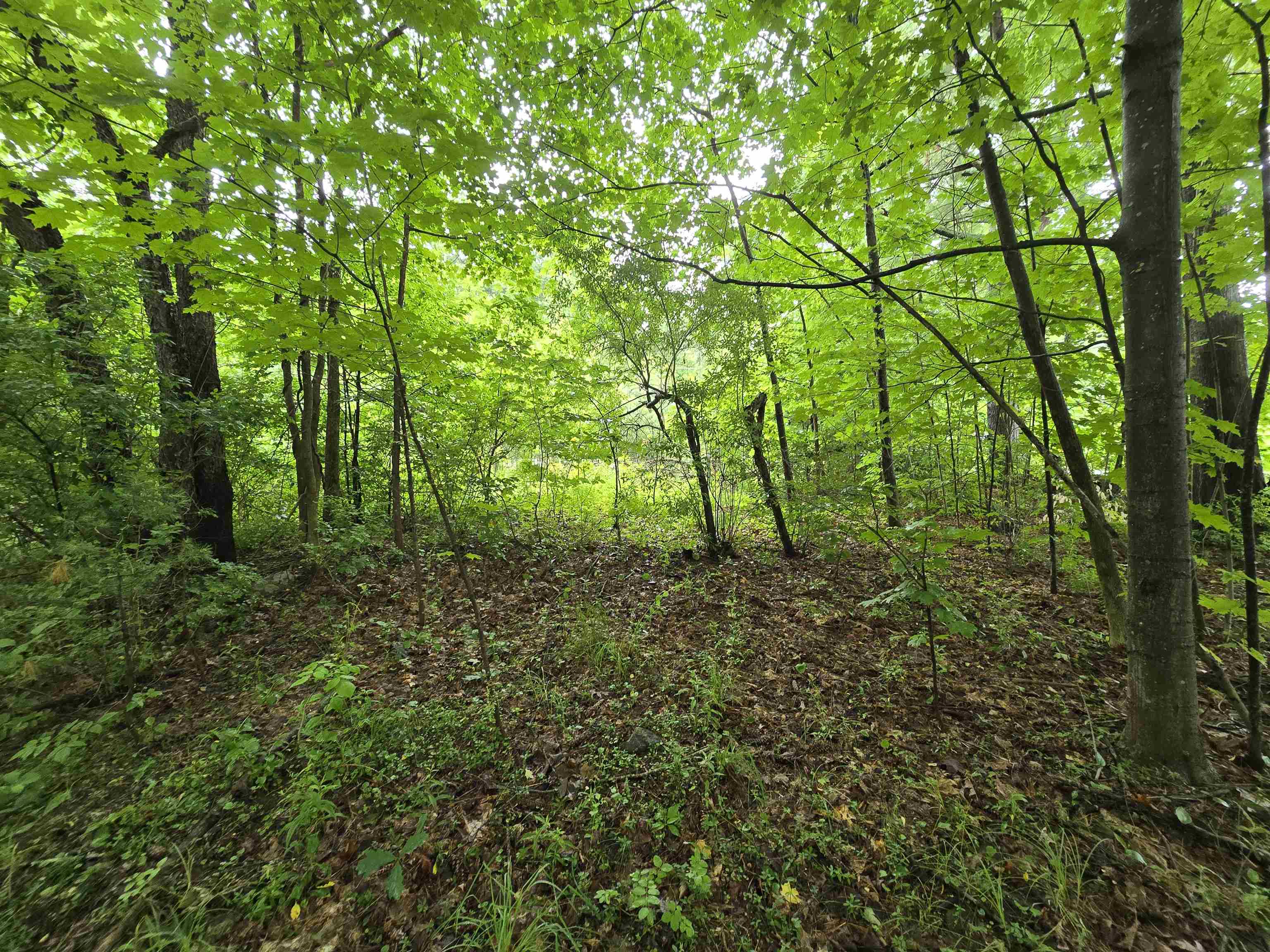 Rochester, New Hampshire 03839, United States, ,Land,Active,165311