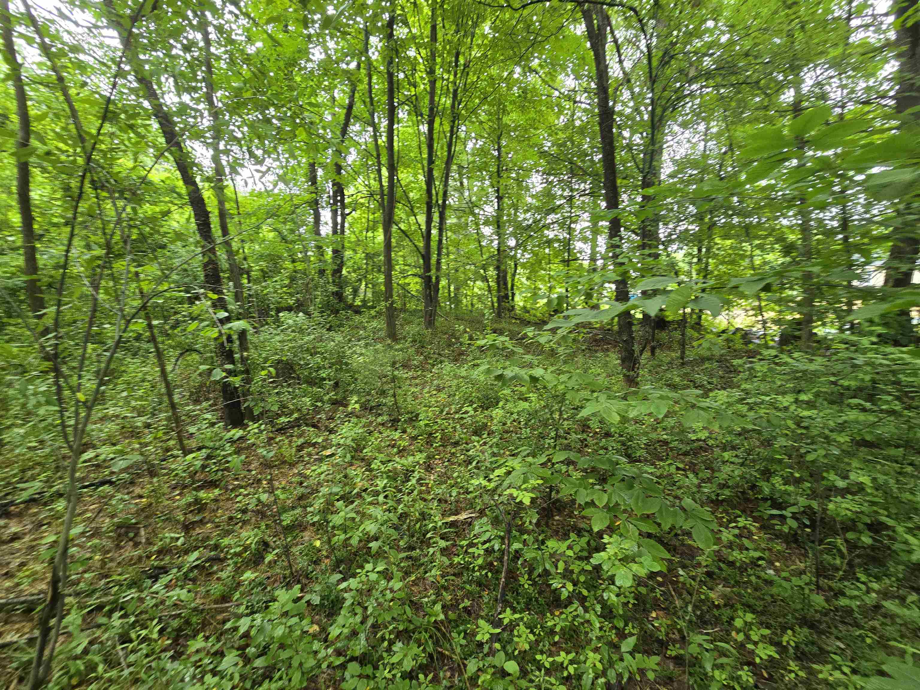 Rochester, New Hampshire 03839, United States, ,Land,Active,165311