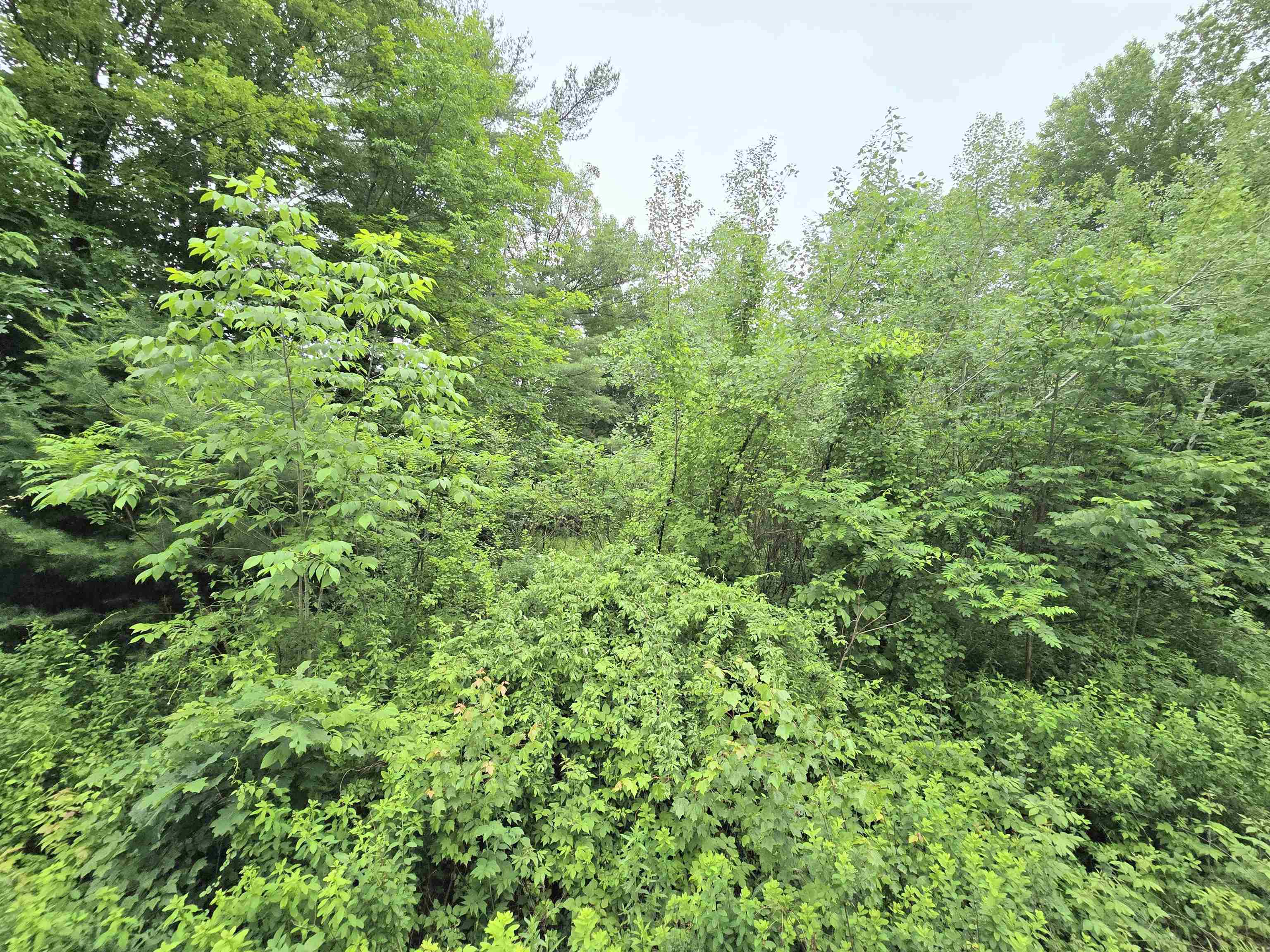 Rochester, New Hampshire 03839, United States, ,Land,Active,165311