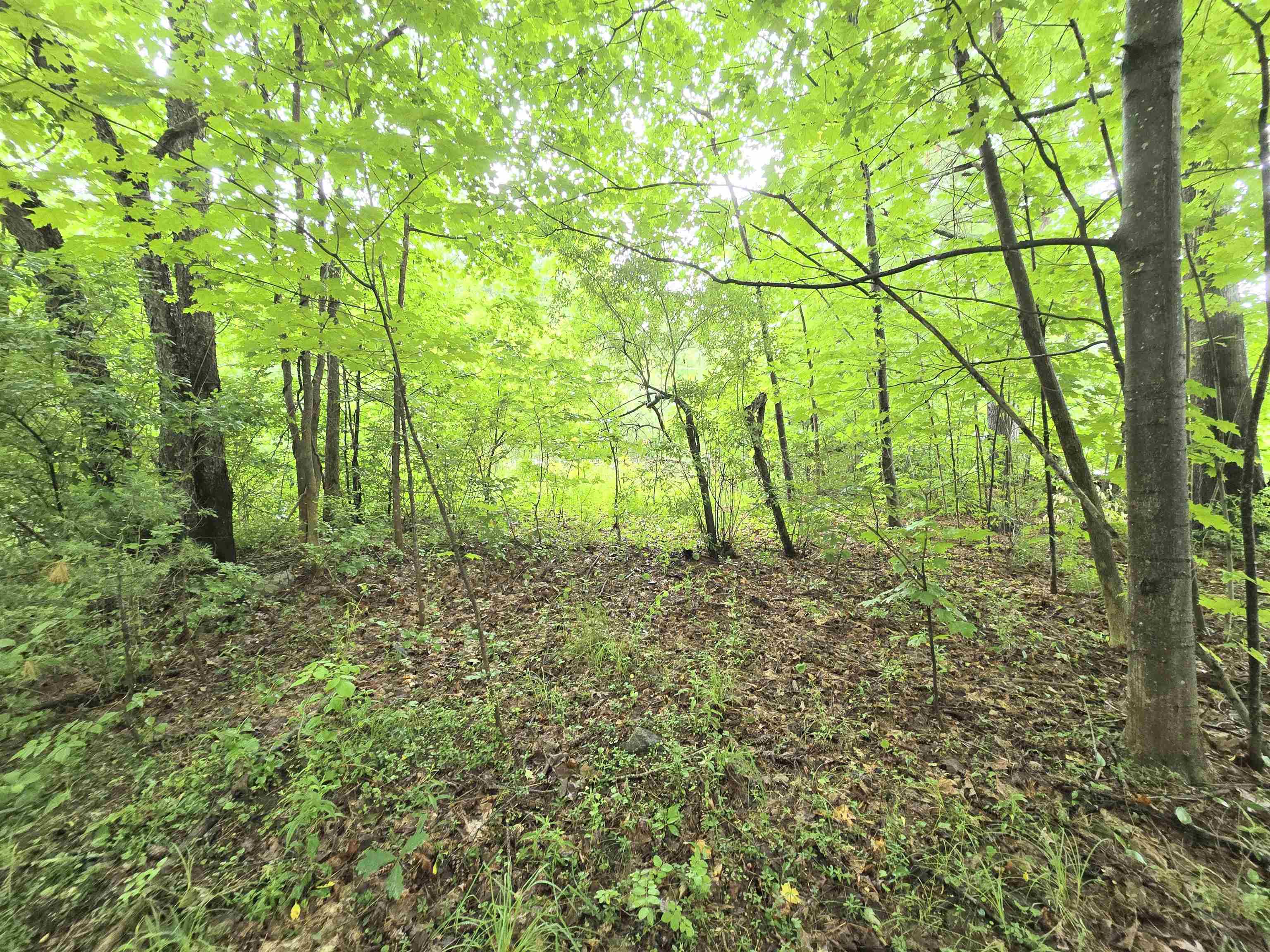 Rochester, New Hampshire 03839, United States, ,Land,Active,165311