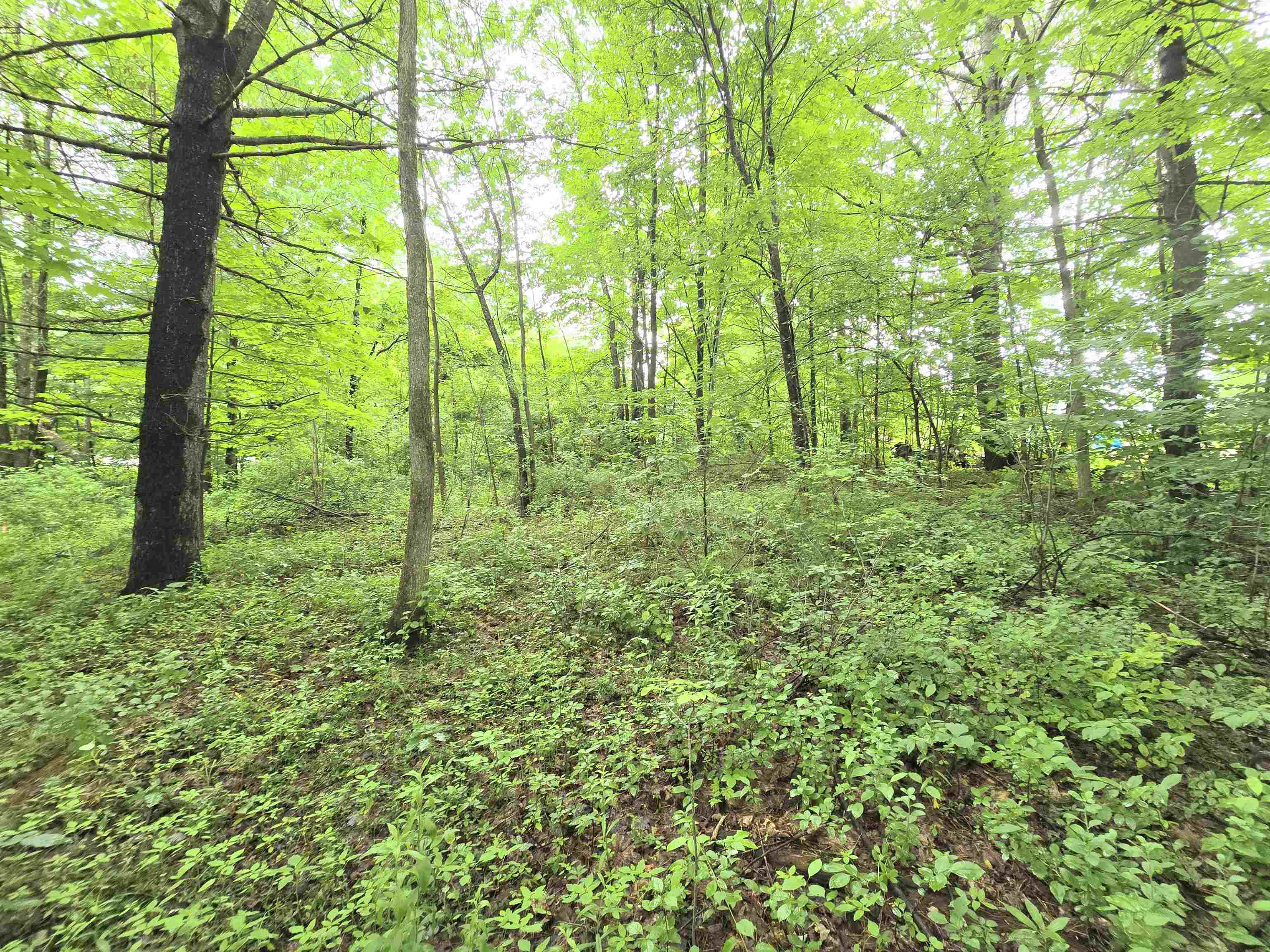 Rochester, New Hampshire 03839, United States, ,Land,Active,165311