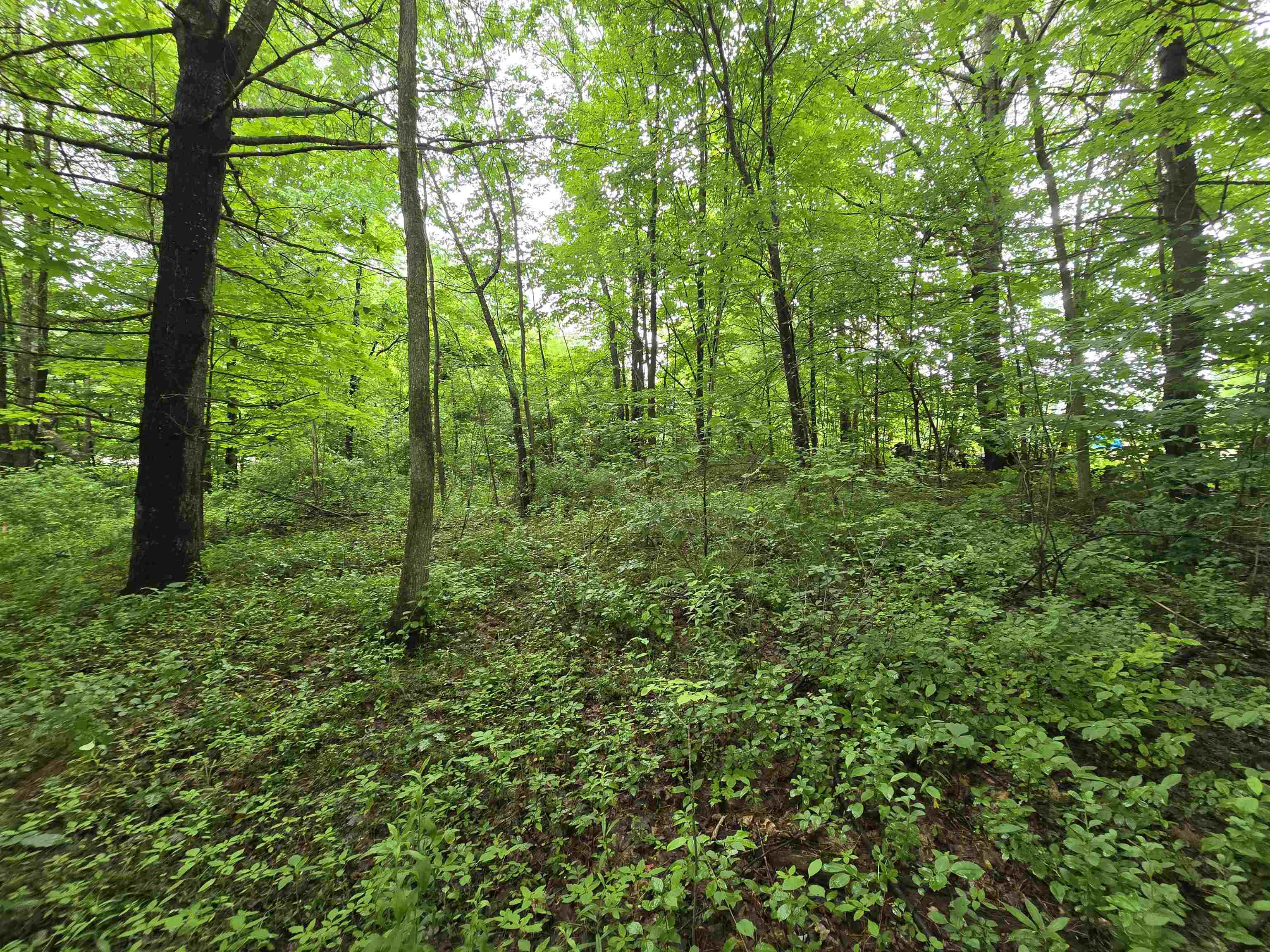 Rochester, New Hampshire 03839, United States, ,Land,Active,165311