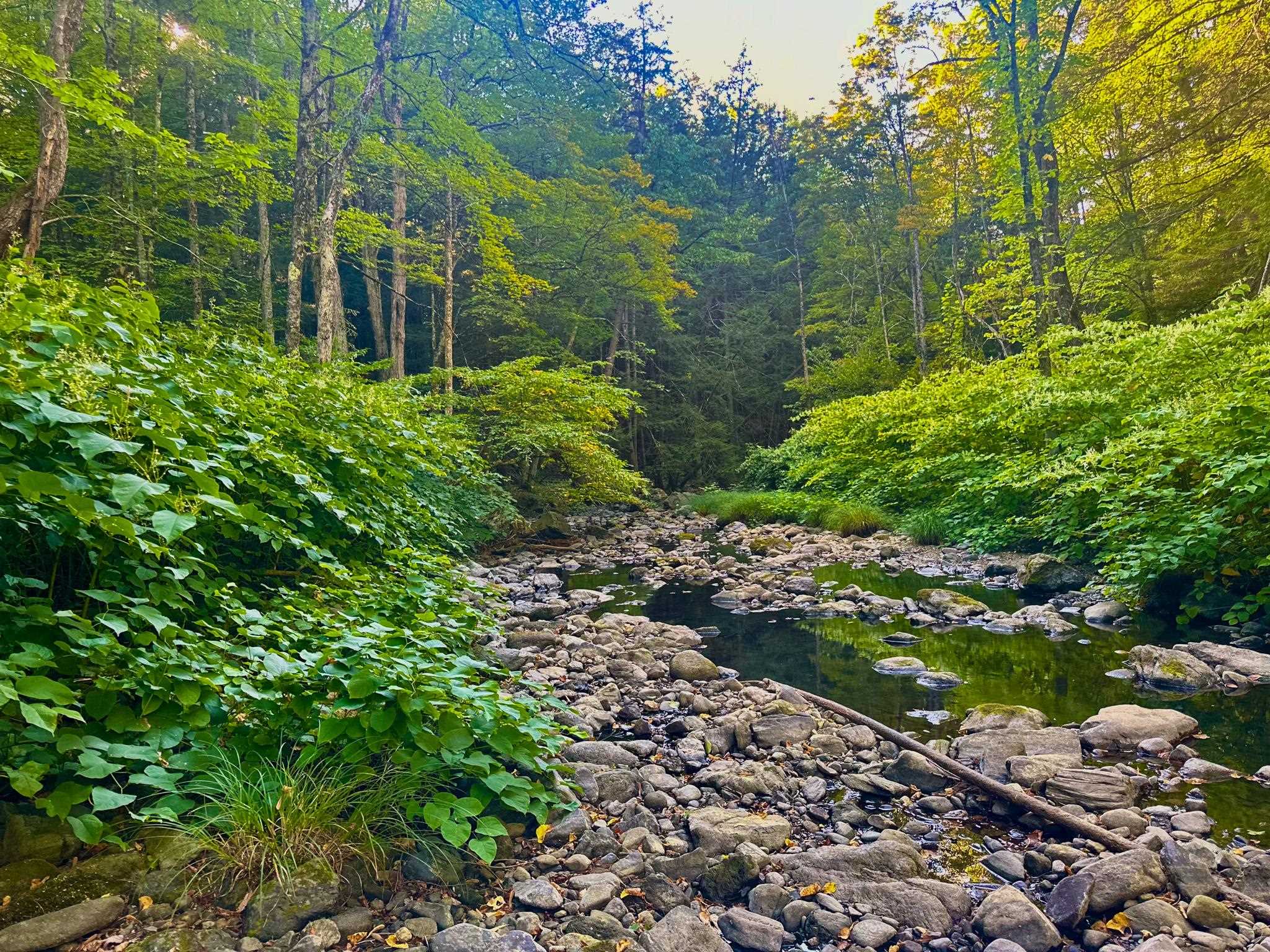 Plainfield, New Hampshire 03781, United States, ,Land,Active,212169