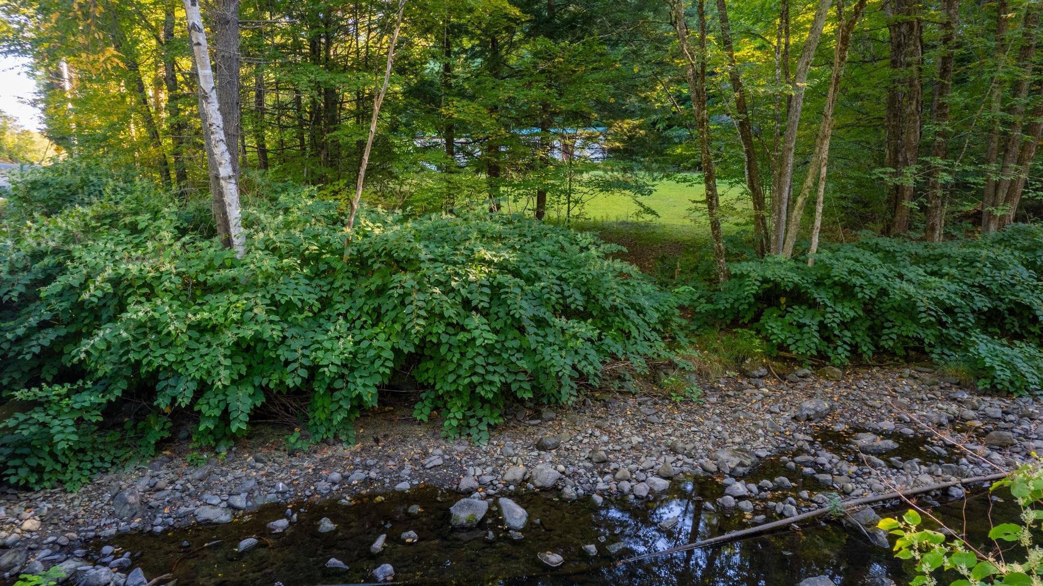 Plainfield, New Hampshire 03781, United States, ,Land,Active,212169