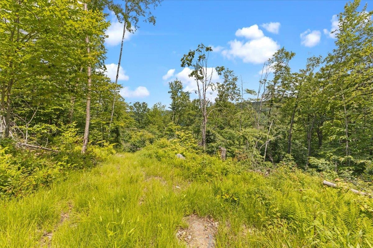 Lot 1 Marshall Road
