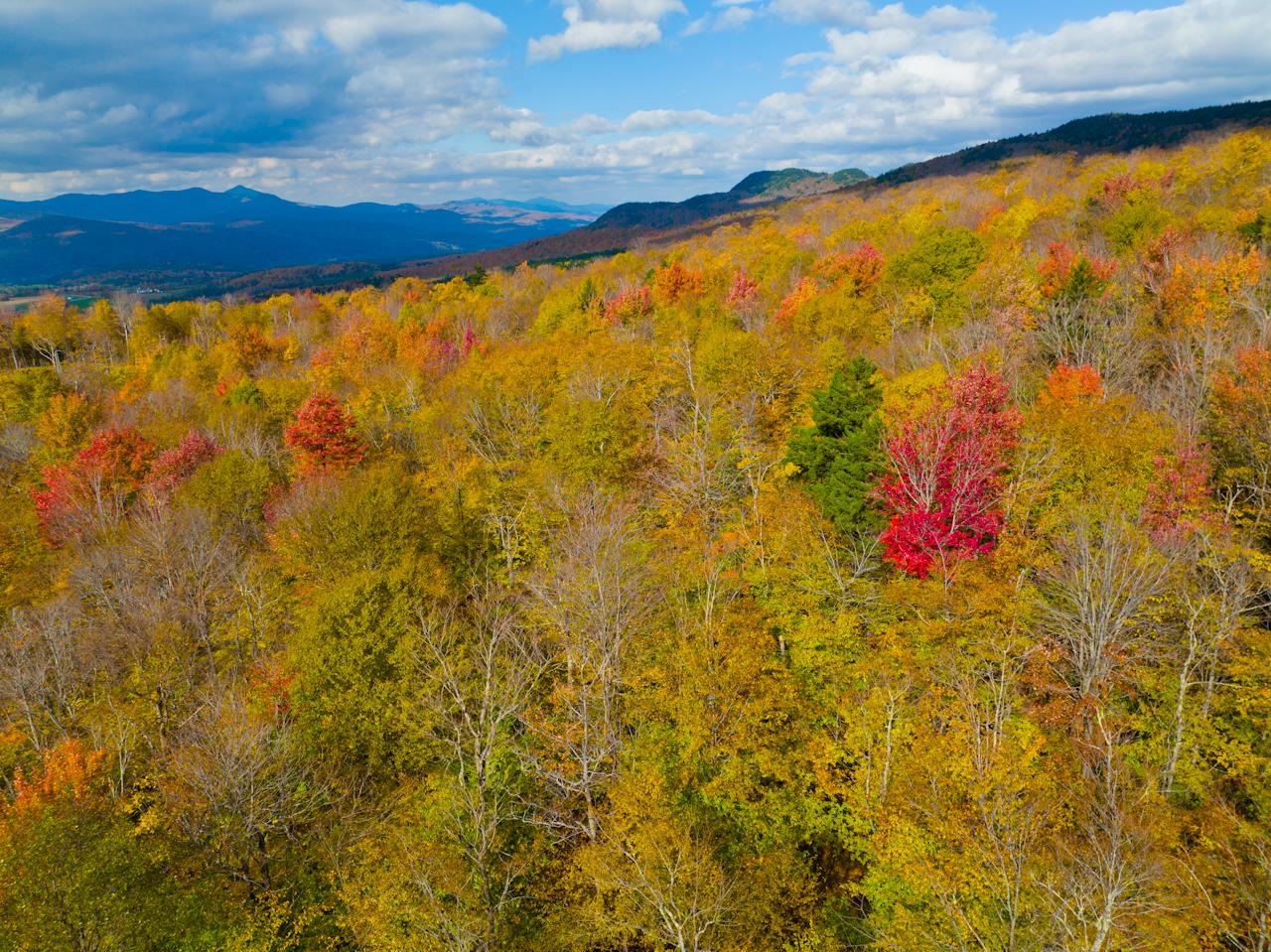 0 Cider Mountain Road