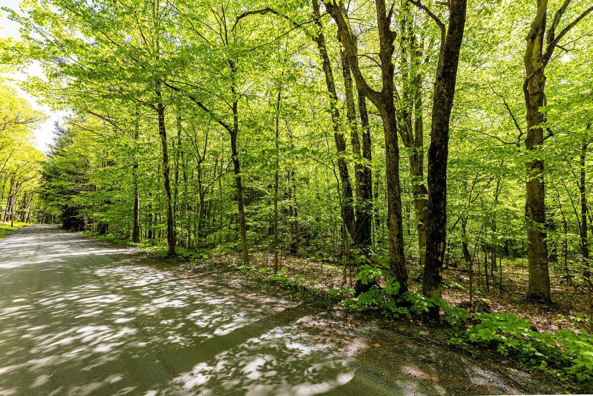 44 Three Mile Road