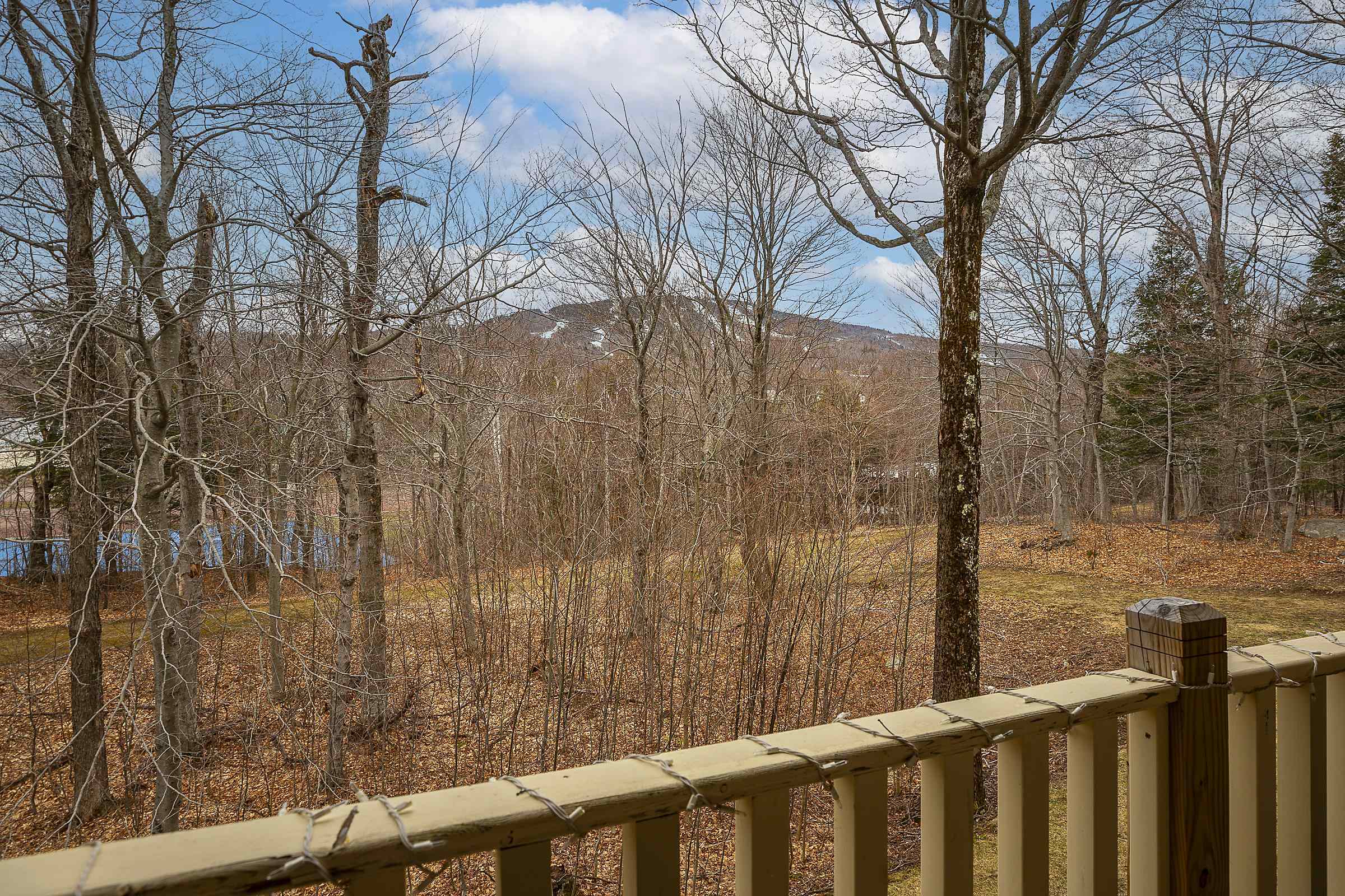 Stratton, Vermont 05155, United States, 2 Bedrooms Bedrooms, ,2 BathroomsBathrooms,Residential,Active,113883