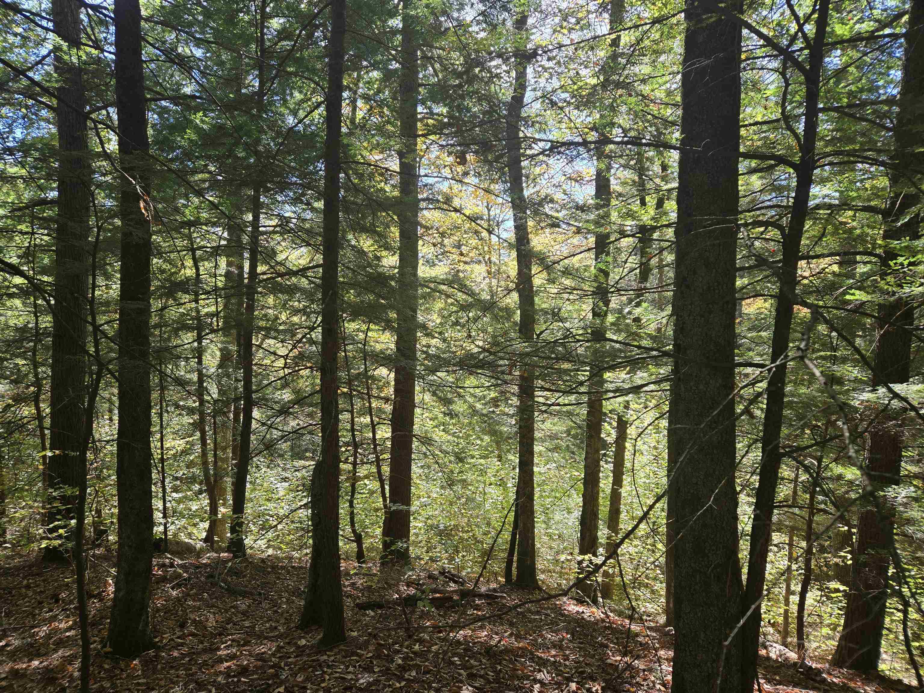 00 Thorn Hill Road 54-L0E