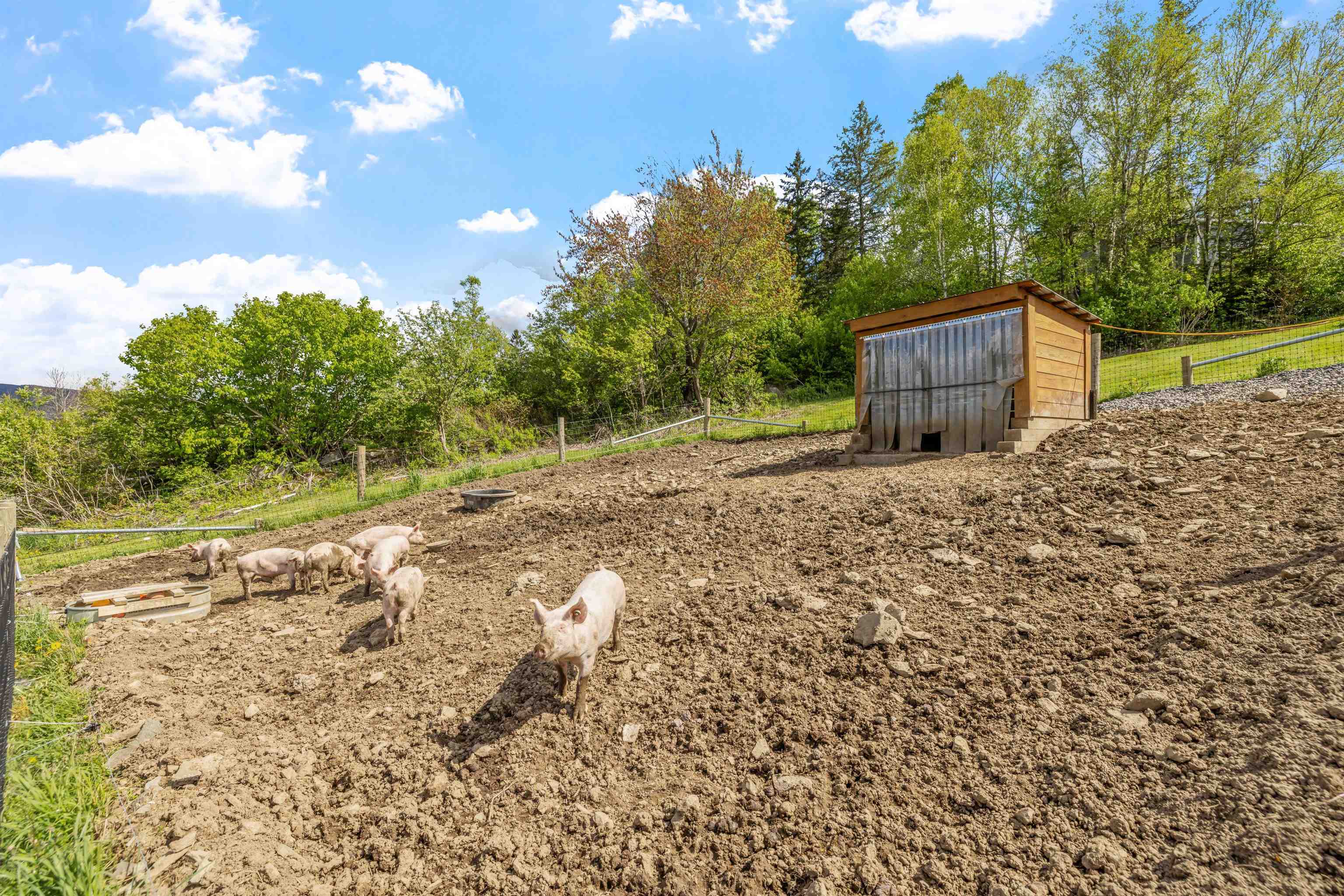Columbia, New Hampshire 03576, United States, 6 Bedrooms Bedrooms, ,5 BathroomsBathrooms,Residential,Active,141463