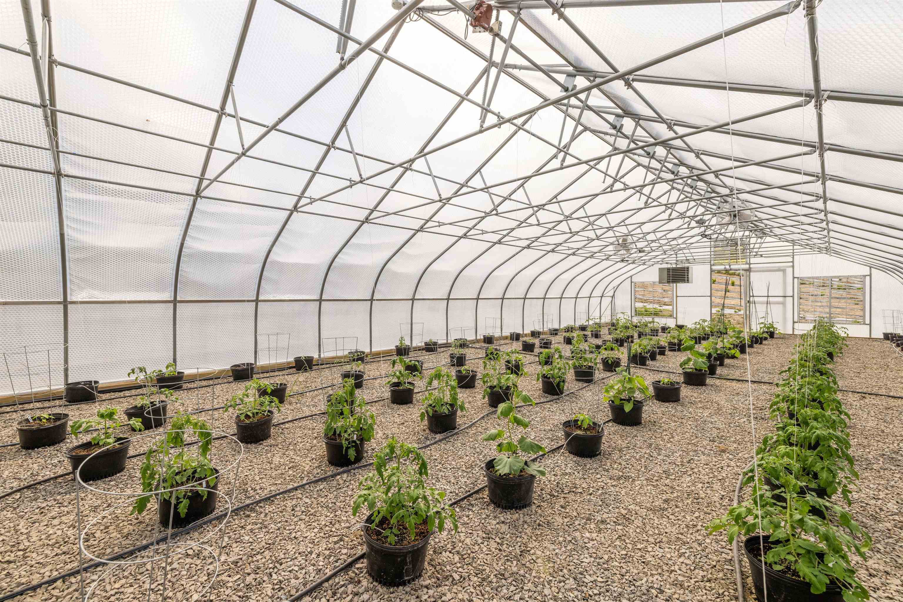 Columbia, New Hampshire 03576, United States, 6 Bedrooms Bedrooms, ,5 BathroomsBathrooms,Residential,Active,141463