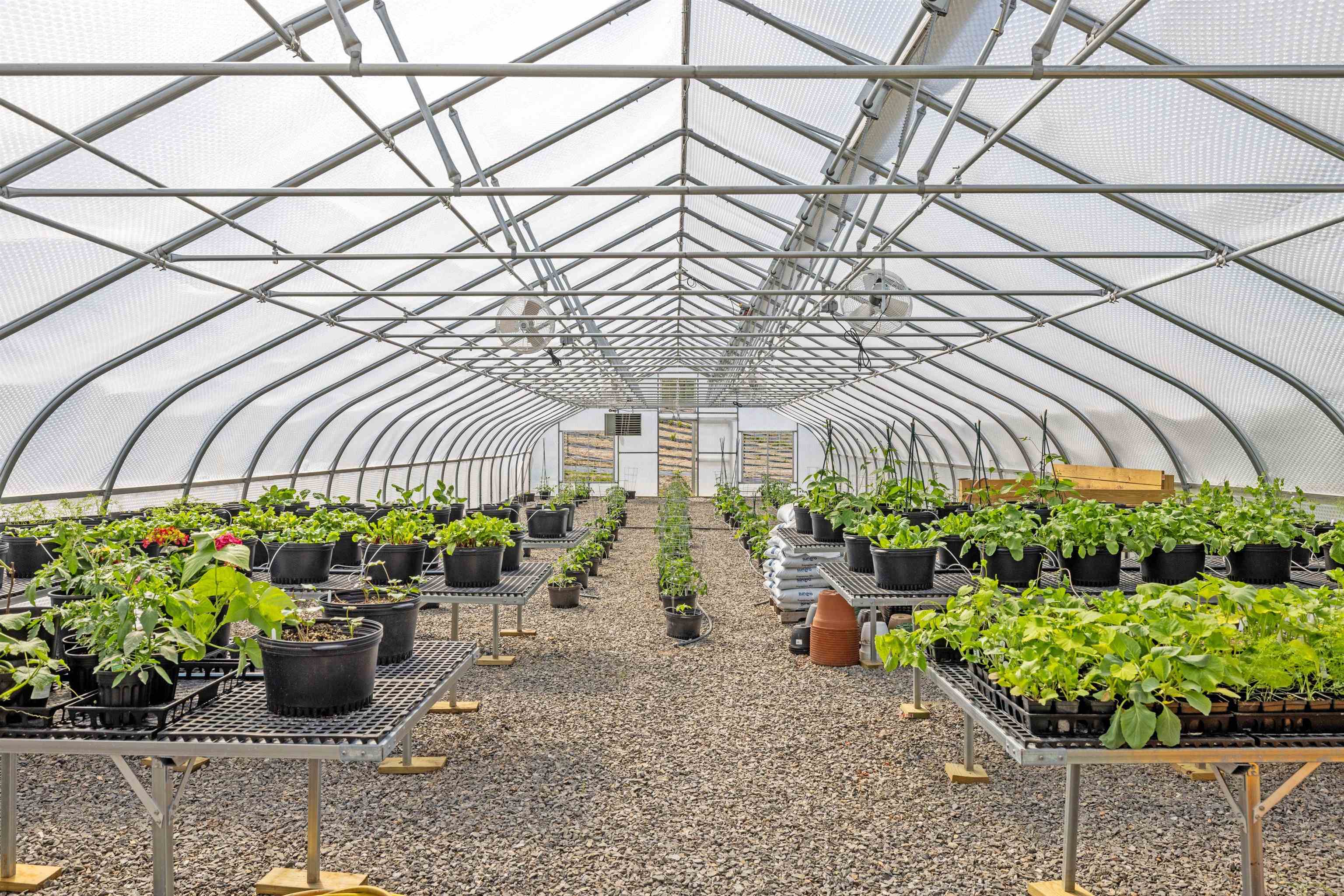 Columbia, New Hampshire 03576, United States, 6 Bedrooms Bedrooms, ,5 BathroomsBathrooms,Residential,Active,141463