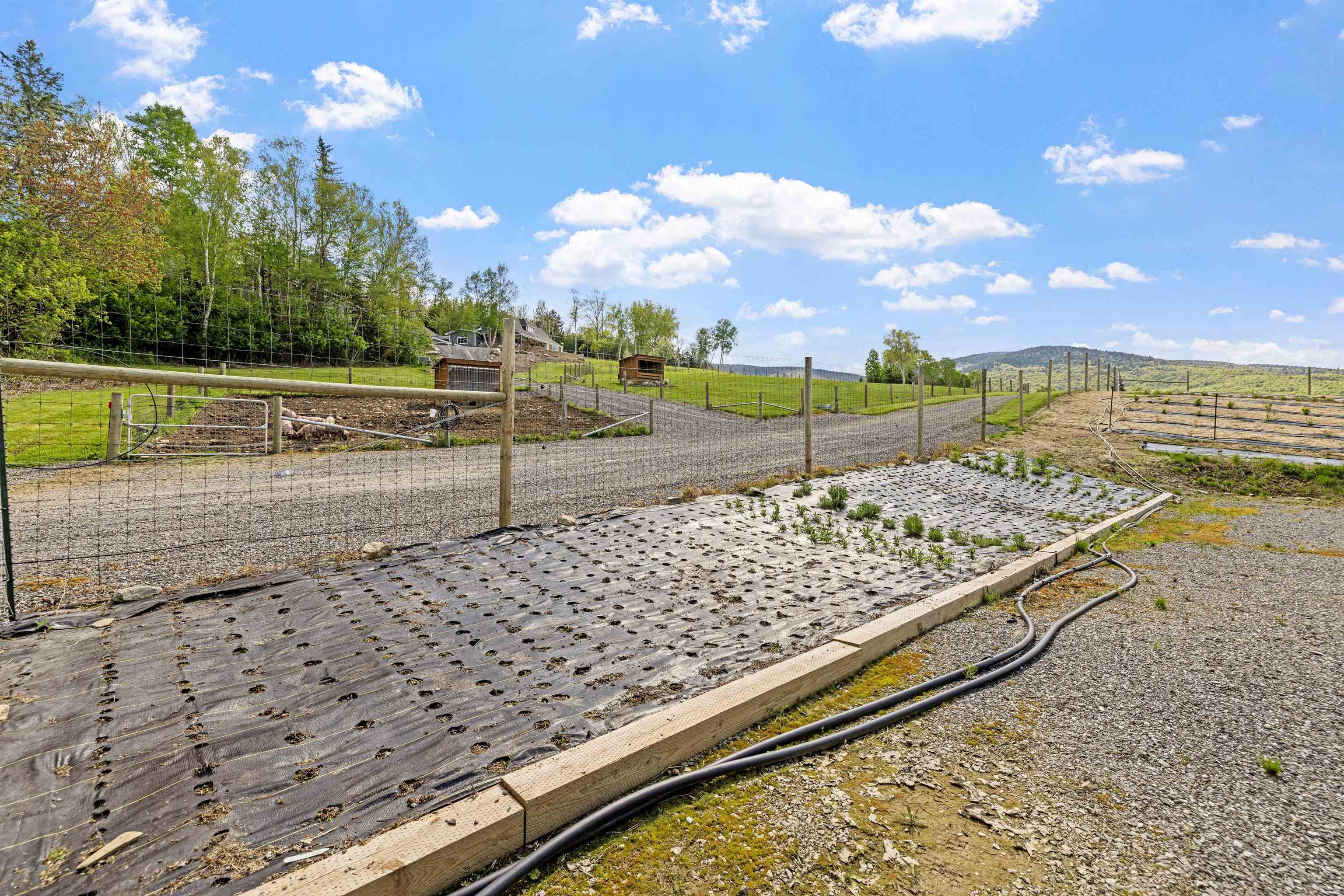 Columbia, New Hampshire 03576, United States, 6 Bedrooms Bedrooms, ,5 BathroomsBathrooms,Residential,Active,141463