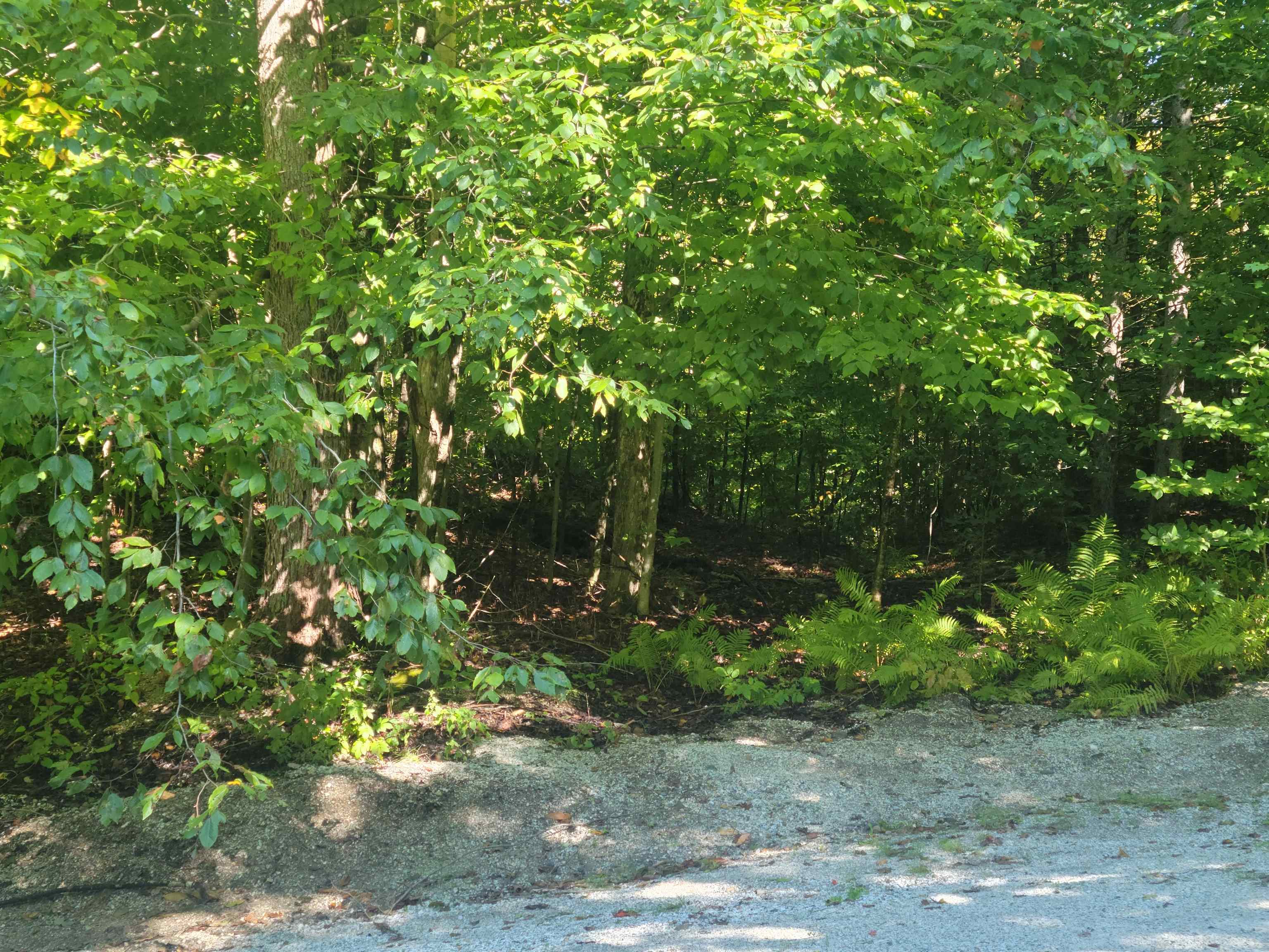 Lot 8 Barts Hill Road 8