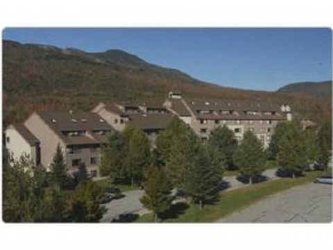 23 Black Bear Road 320 Waterville Valley NH 03215