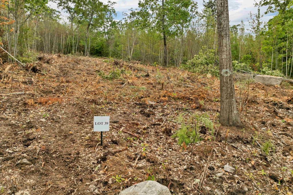 Photo of 0 Long Stack Lane #39, Wolfeboro, NH 03894 (MLS # 5060642)