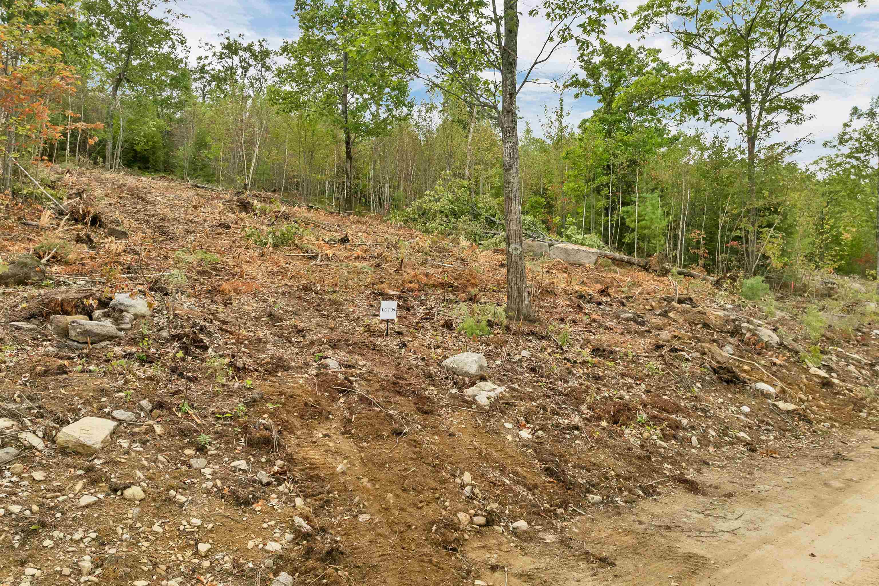 0 Long Stack Lane 39