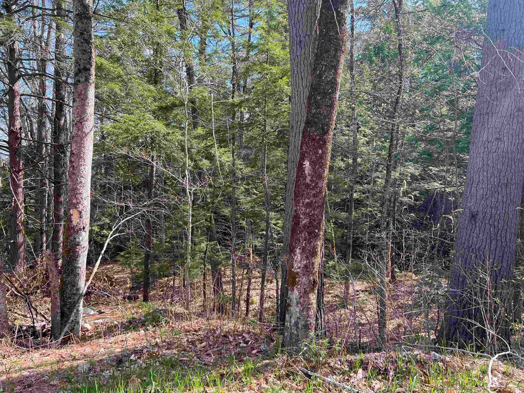 Photo of 0 Brookside Street, Conway, NH 03818 (MLS # 5086953)
