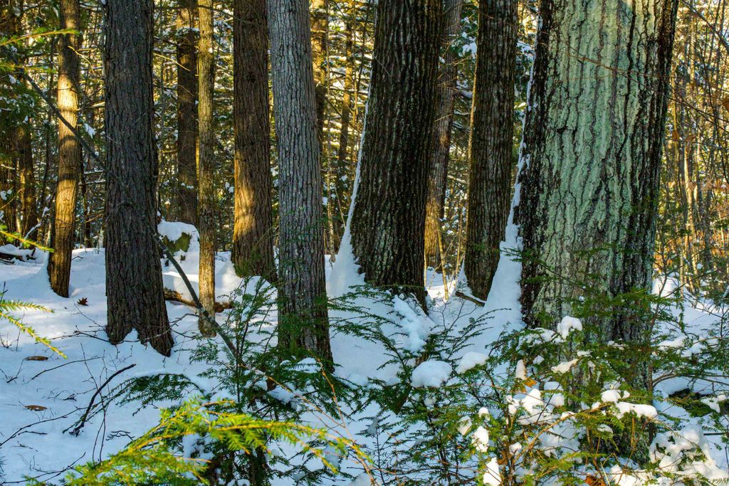 Photo of 00 Bog Brook Road, New Boston, NH 03070 (MLS # 5075571)