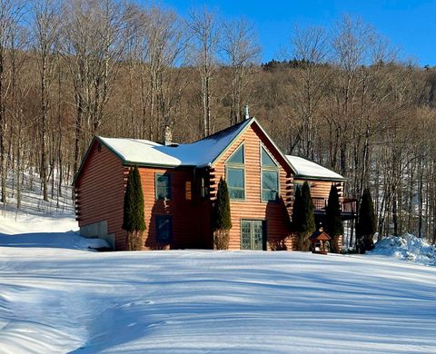 1052 Little Village Road Danby VT 05739