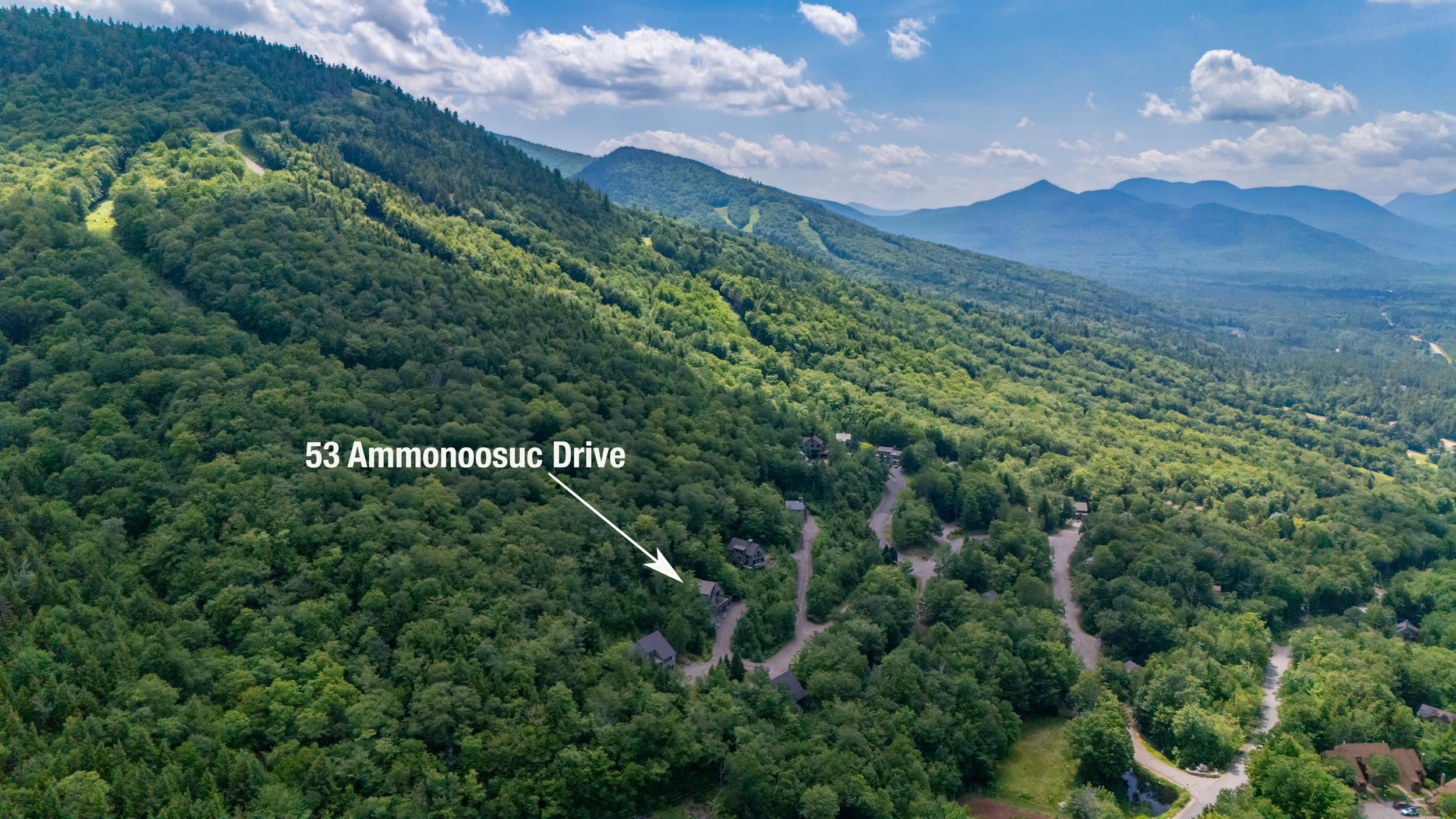 53 Ammonoosuc Drive
