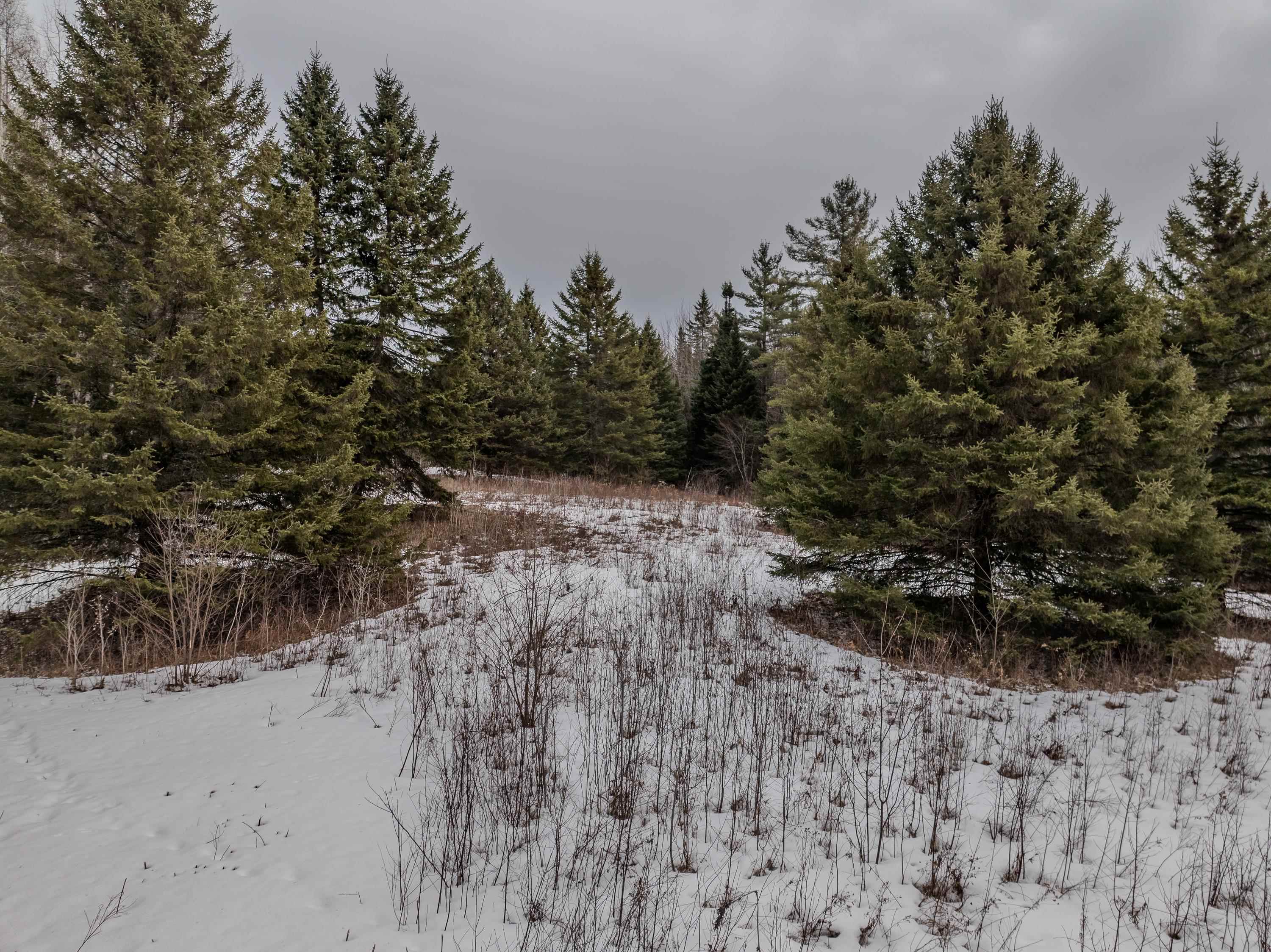 0 Jefferson Road Tax Map 225 lot 3