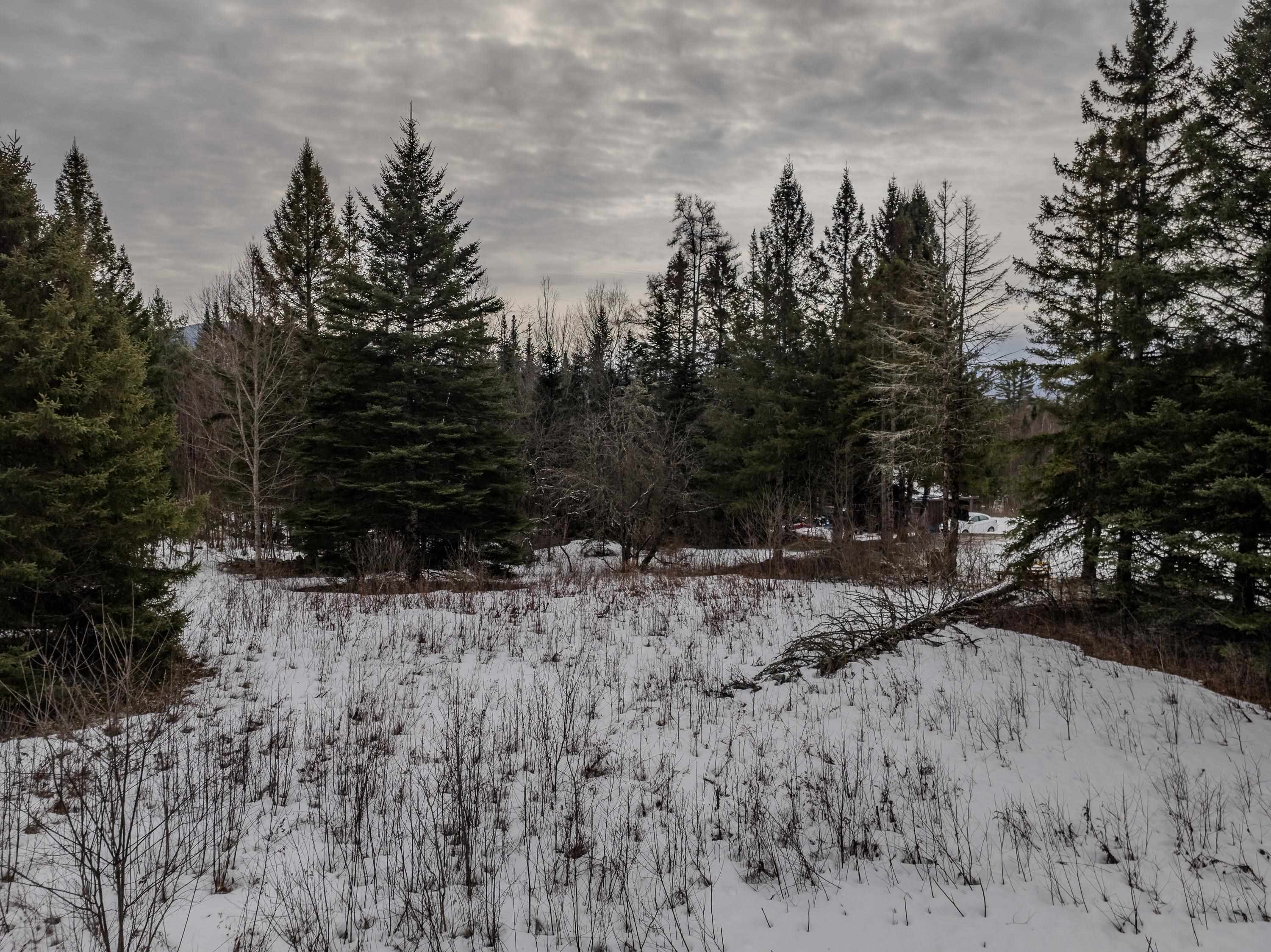 0 Jefferson Road Tax Map 225 lot 3