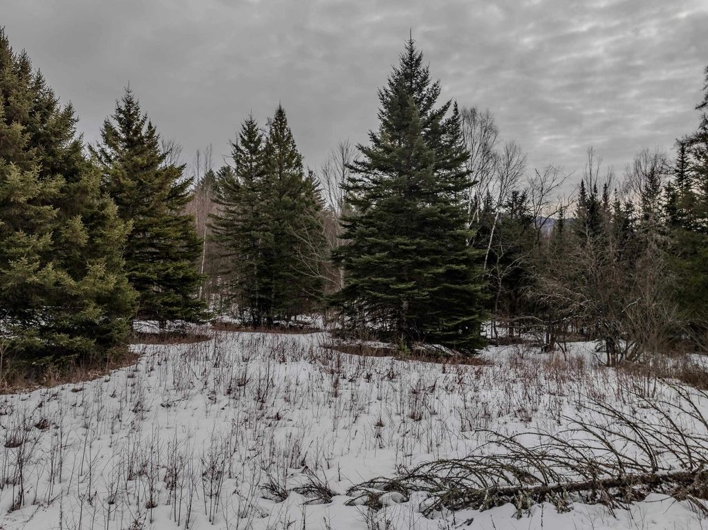 Photo of 0 Jefferson Road #Tax Map 225 lot 3, Whitefield, NH 03598 (MLS # 5079817)