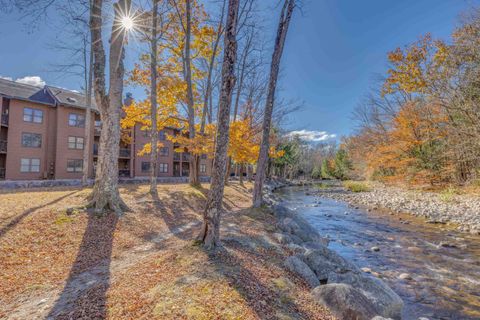 Photo of 45 Riverfront Drive #242, Woodstock, NH 03262 (MLS # 5068260)