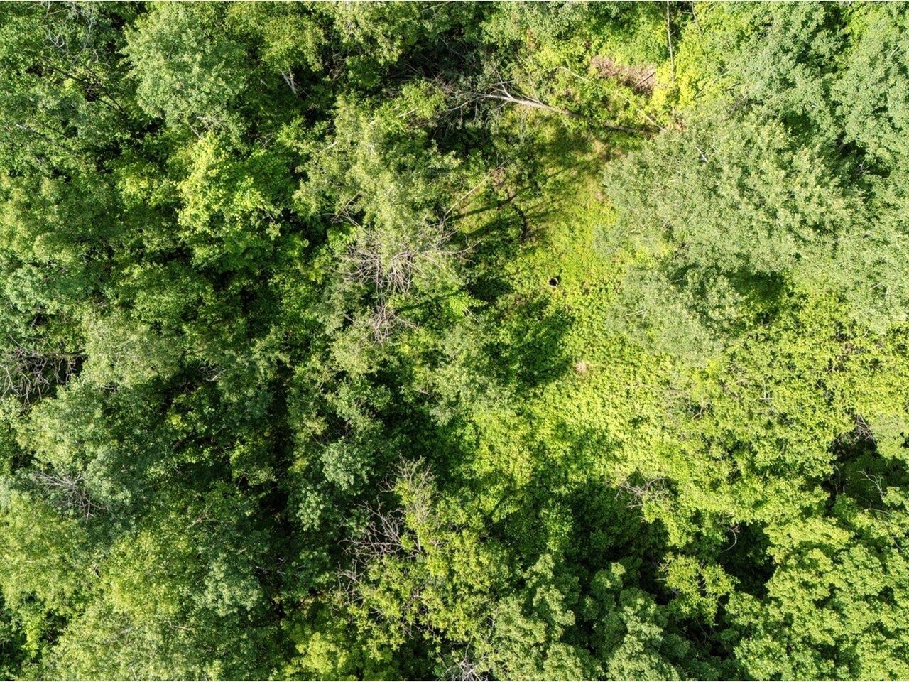 Lot 4 Homestead Drive