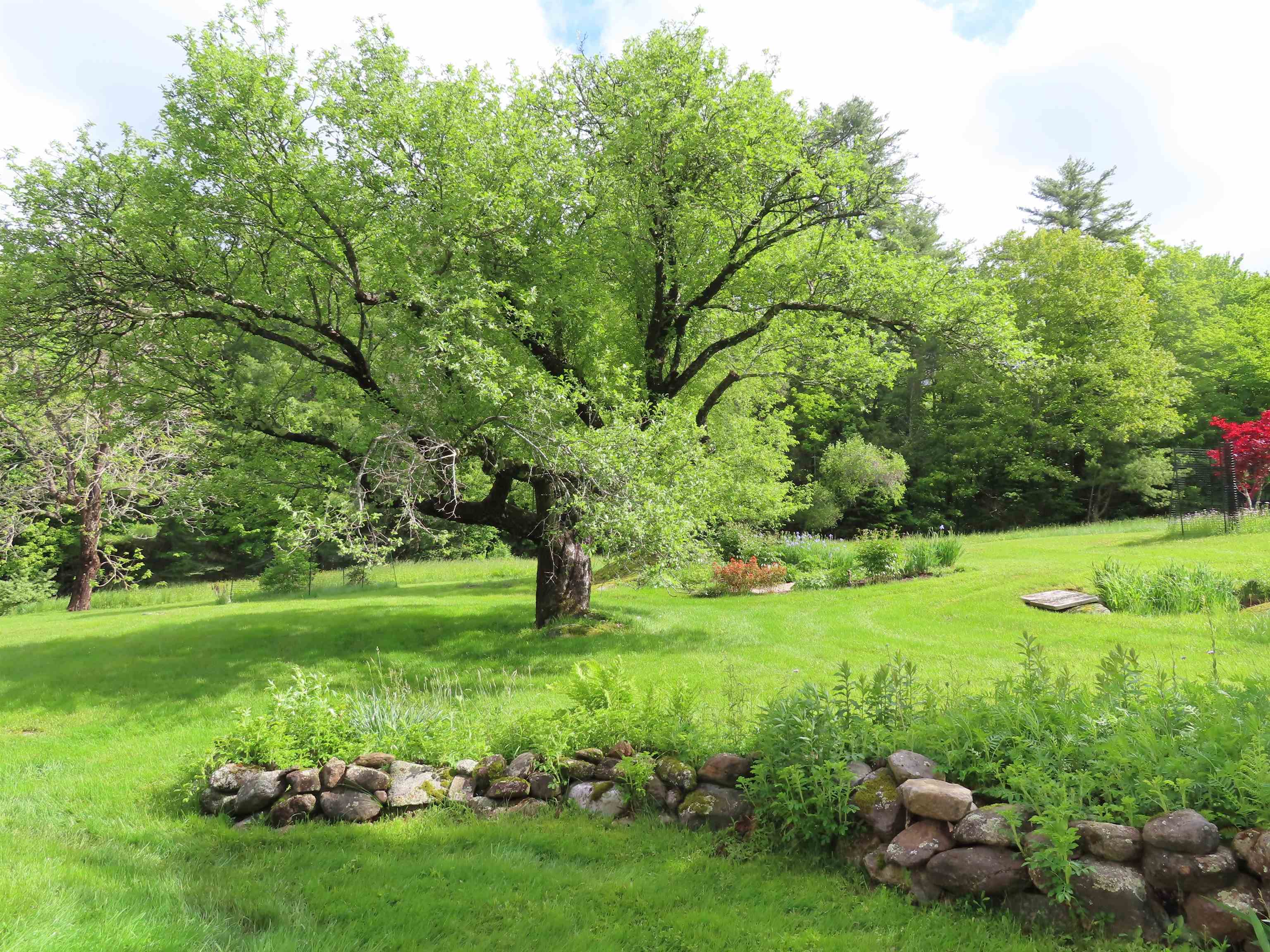 95 Apple Hill Road