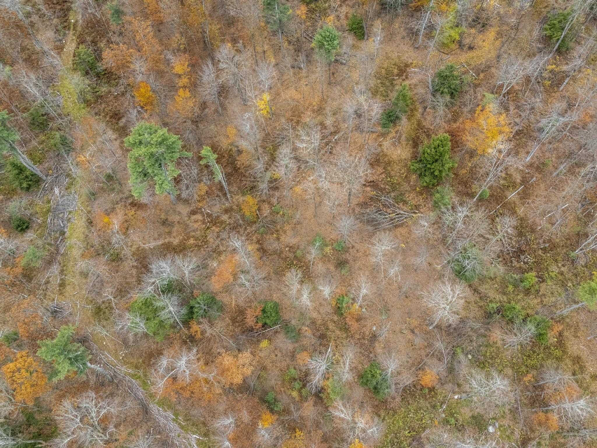 00 Greenville Road Lot 15-B-5