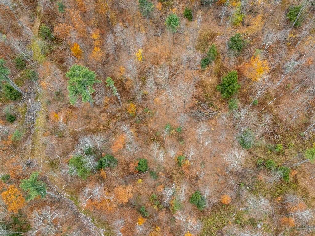 Photo of 00 Greenville Road #Lot 15-B-5, New Ipswich, NH 03071 (MLS # 5067912)